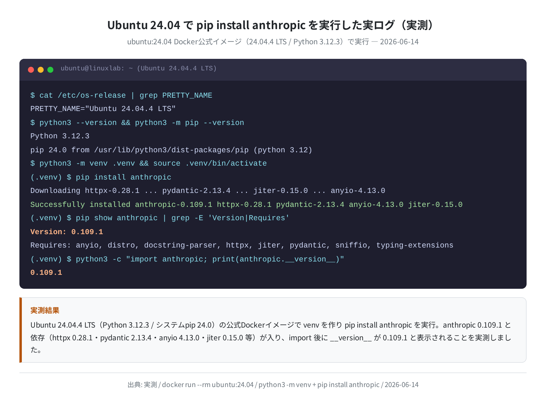 Ubuntu 24.04 で pip install anthropic を実行した実ログ（実測）