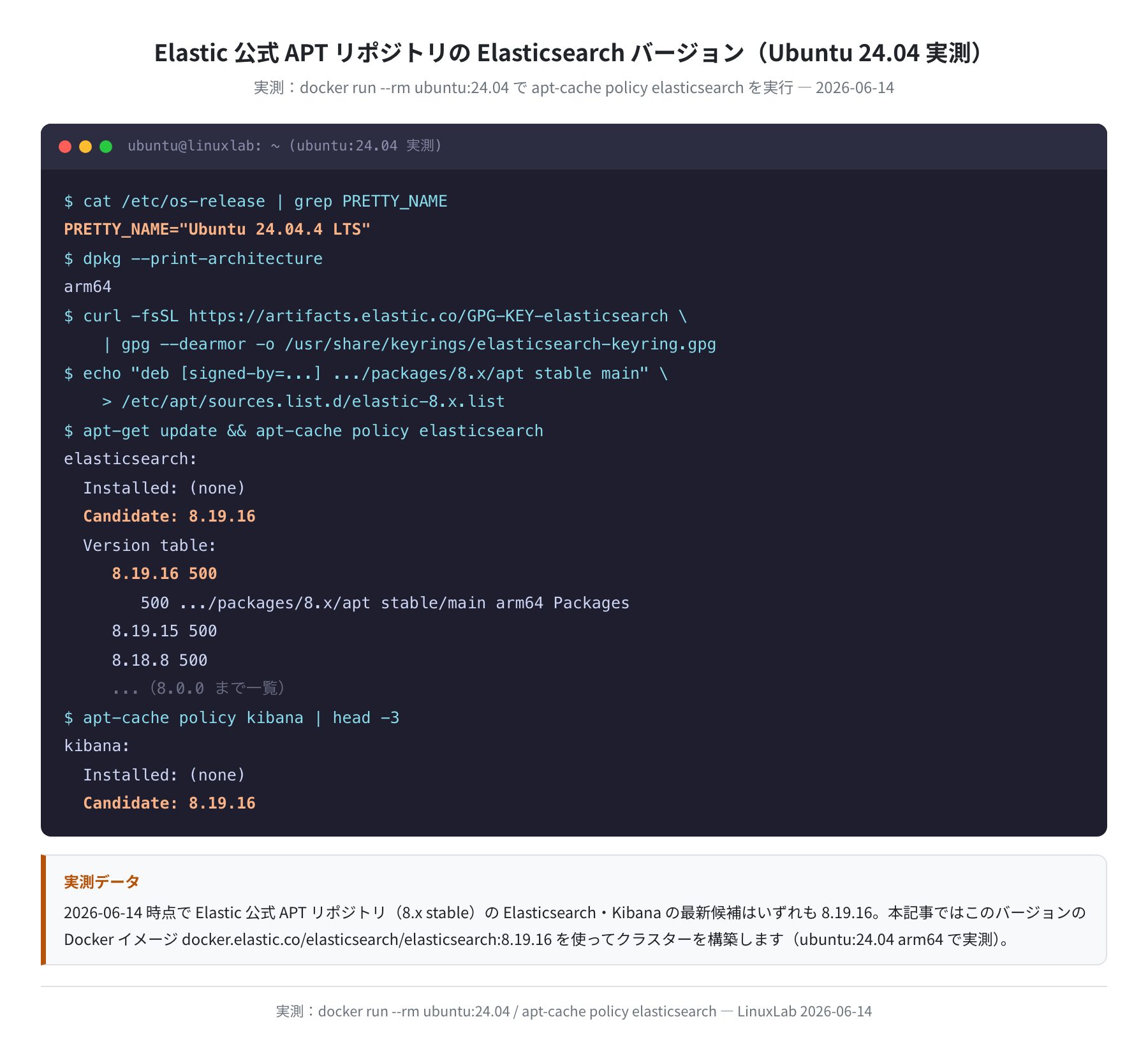 Elastic 公式APTリポジトリのバージョン情報（Ubuntu 24.04 実測）
