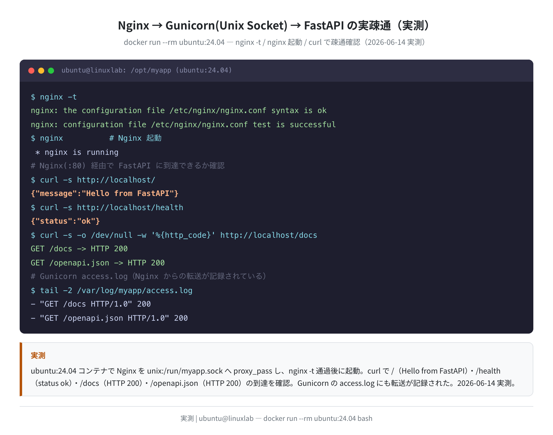 Nginx→Gunicorn→FastAPI 実疎通(curl 実測)