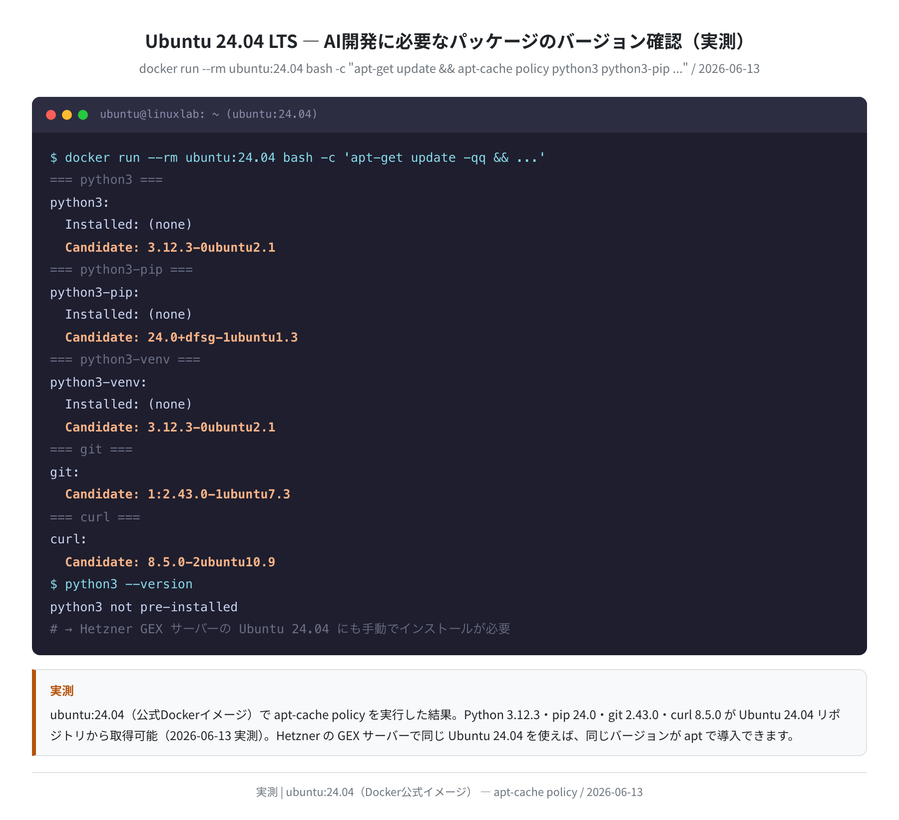 Ubuntu 24.04 AI開発パッケージ バージョン確認(実測)