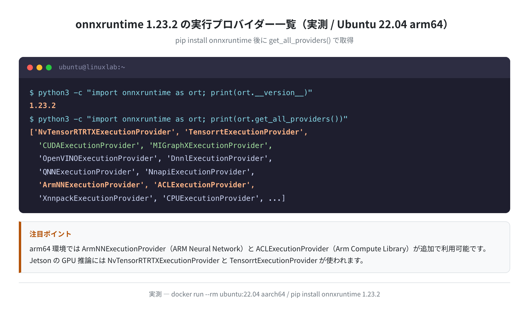 onnxruntime 1.23.2 の実行プロバイダー一覧（実測）