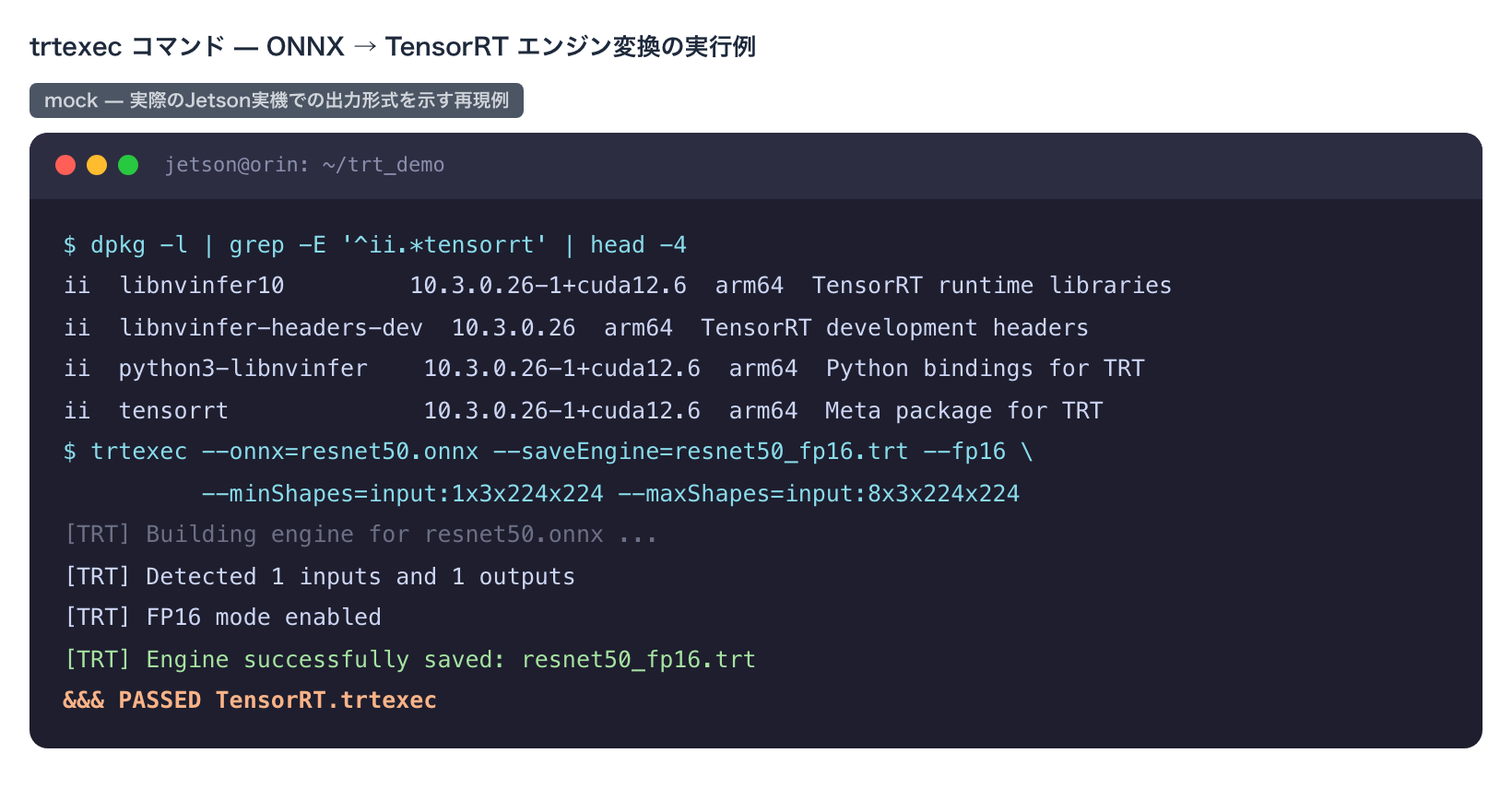 trtexec による ONNX → TRT エンジン変換の実行例（再現UI）