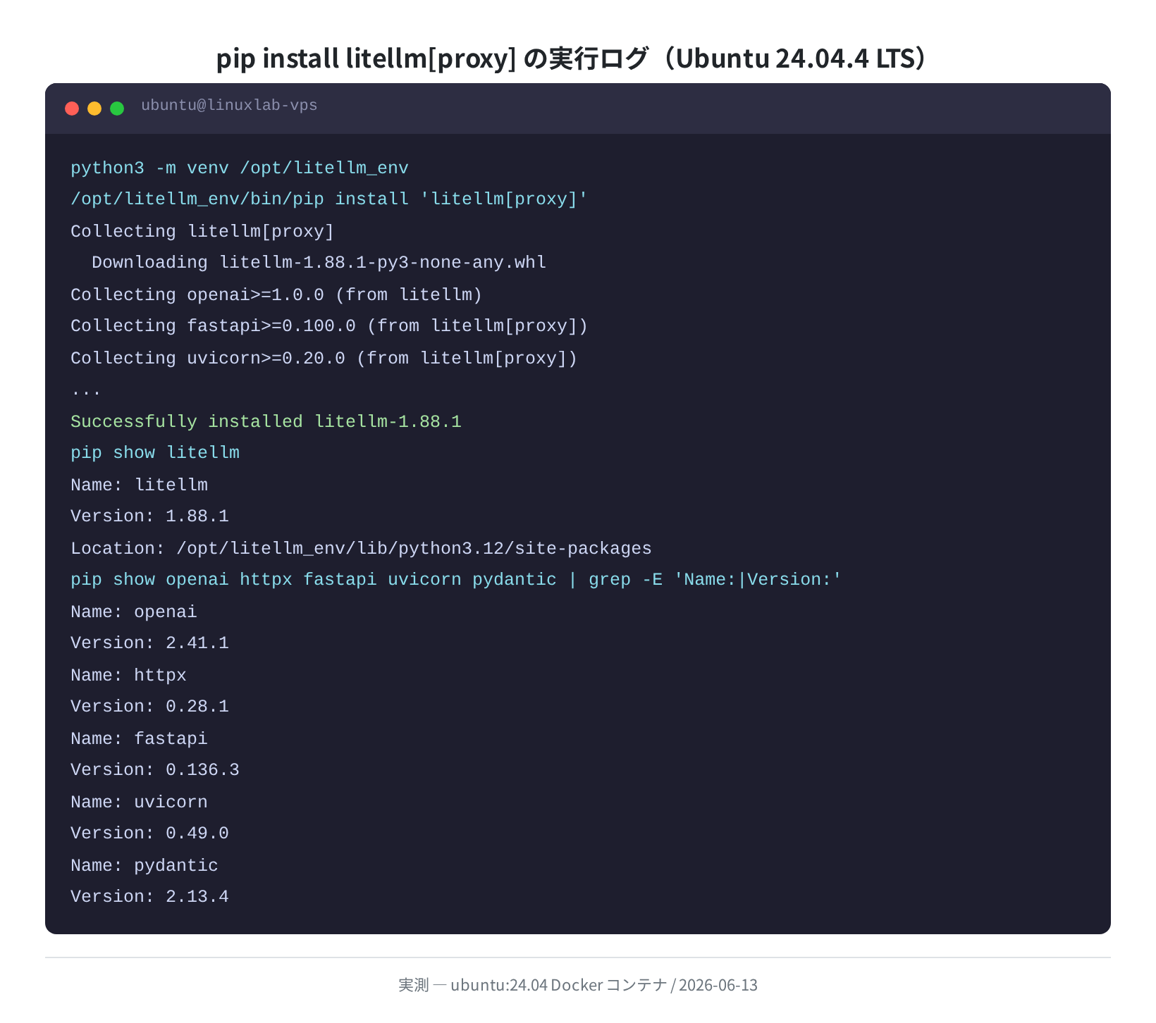 pip install litellm proxy の実行ログと依存パッケージバージョン（実測）