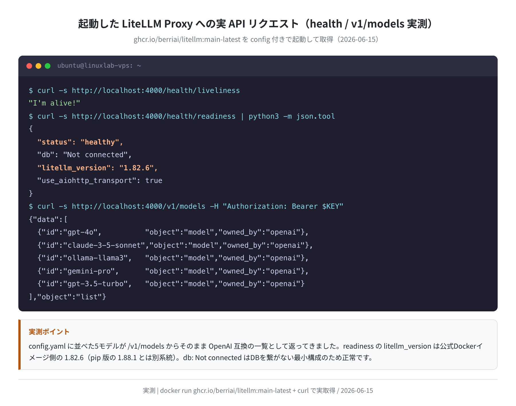起動した LiteLLM Proxy への health / v1/models 実リクエスト（実測）