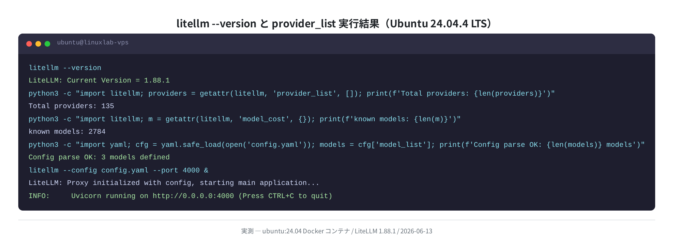 litellm --version と provider_list の実行結果（Ubuntu 24.04.4 実測）