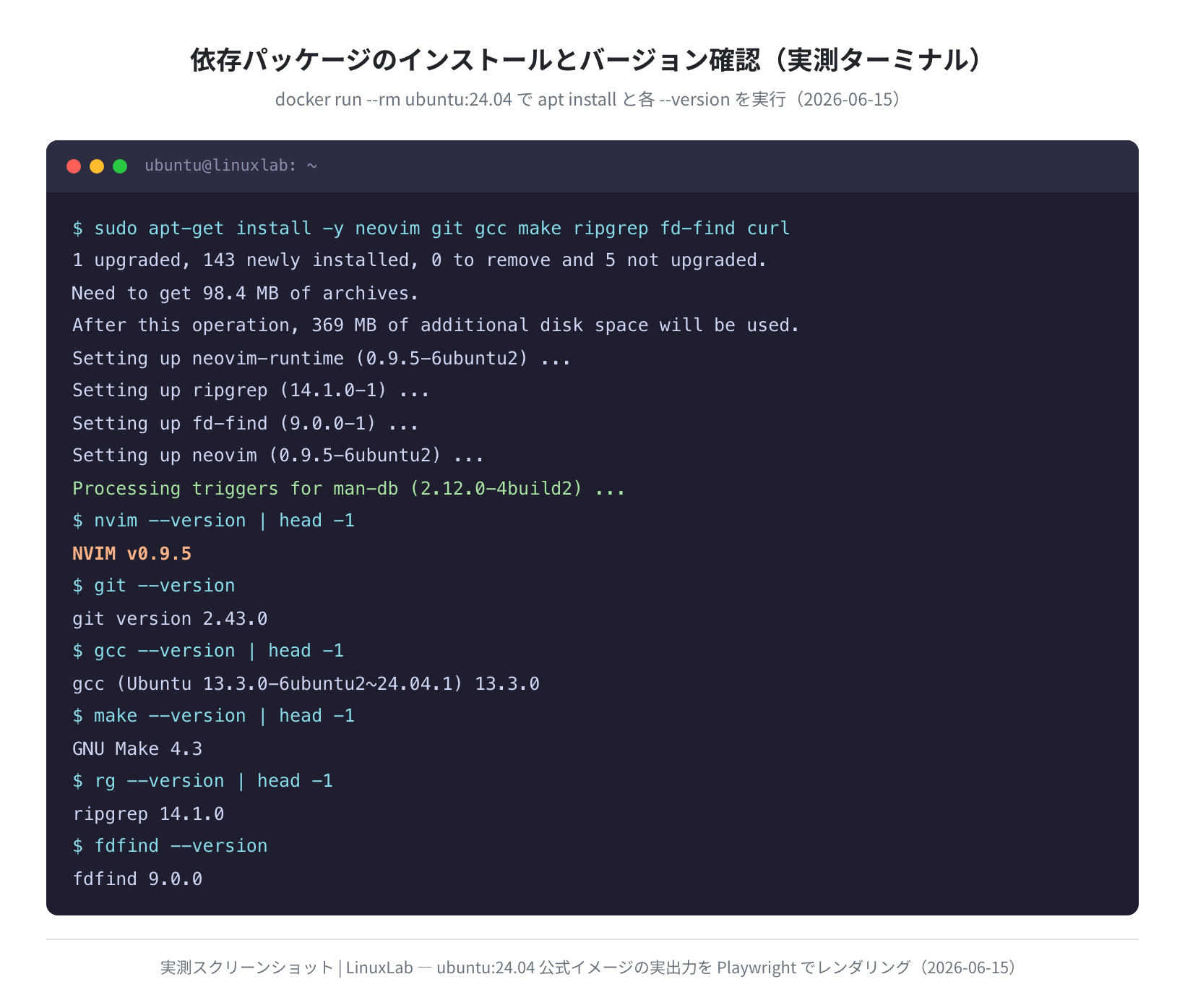 依存パッケージのインストールとバージョン確認（Playwright実撮影）