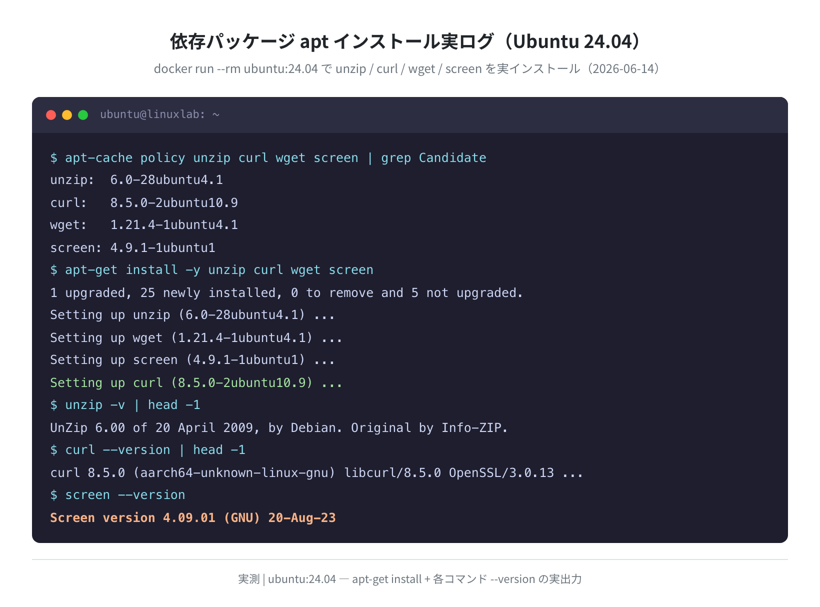 依存パッケージapt install実ログ（docker run ubuntu:24.04・2026-06-14）
