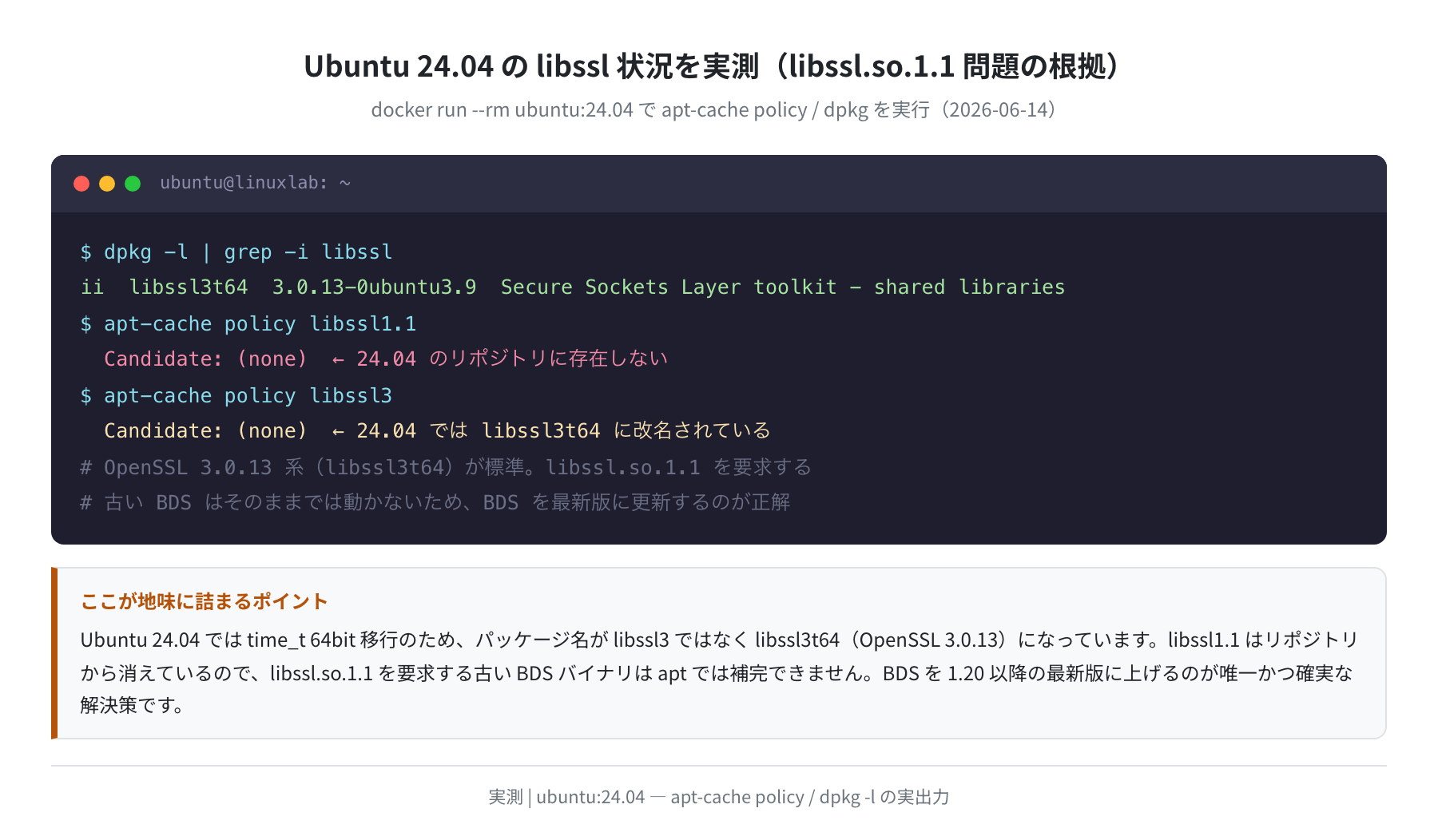 Ubuntu 24.04のlibssl状況 実測（docker run ubuntu:24.04・2026-06-14）