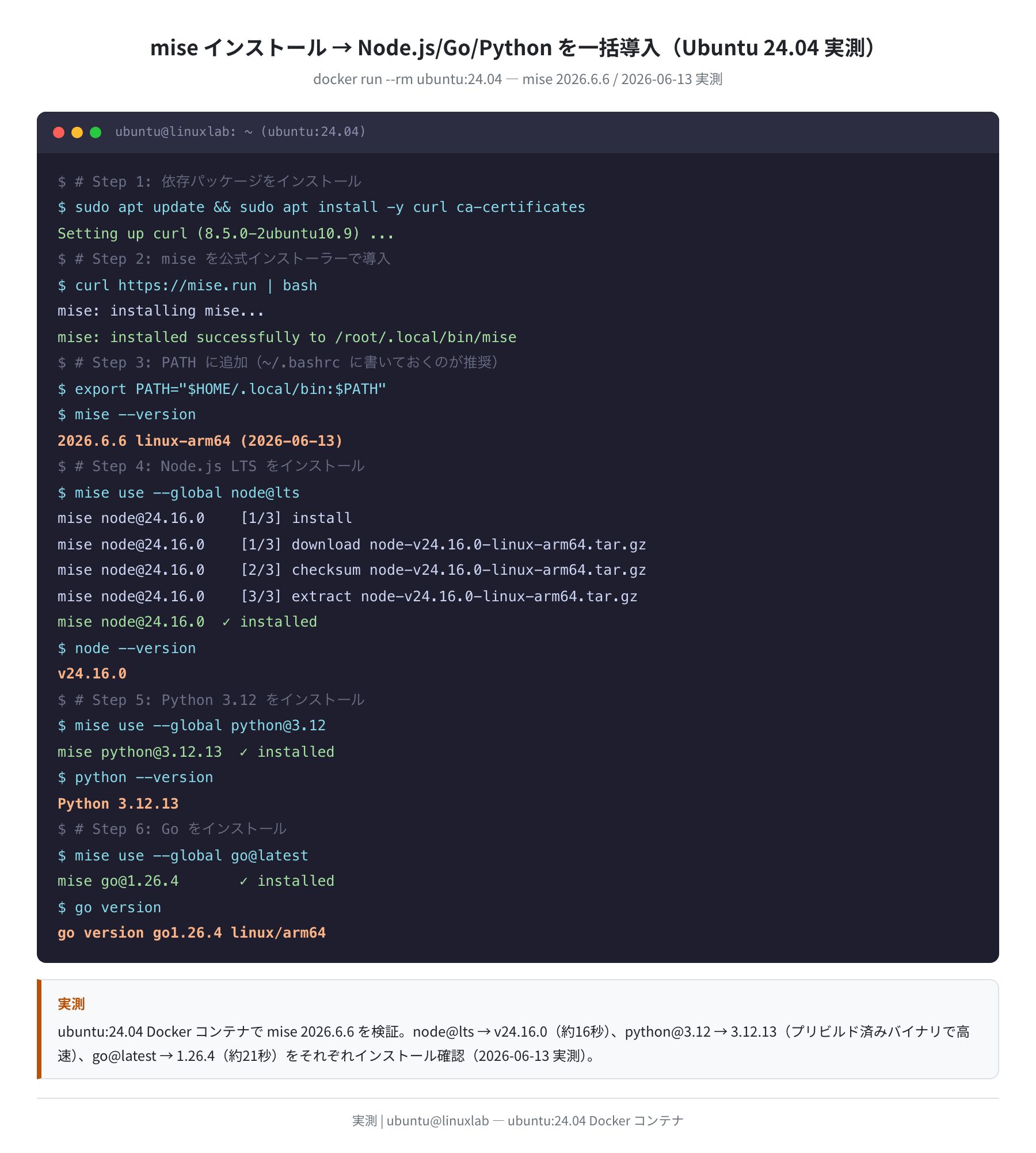 mise インストールから Node.js/Python/Go を一括導入するまでの全ログ