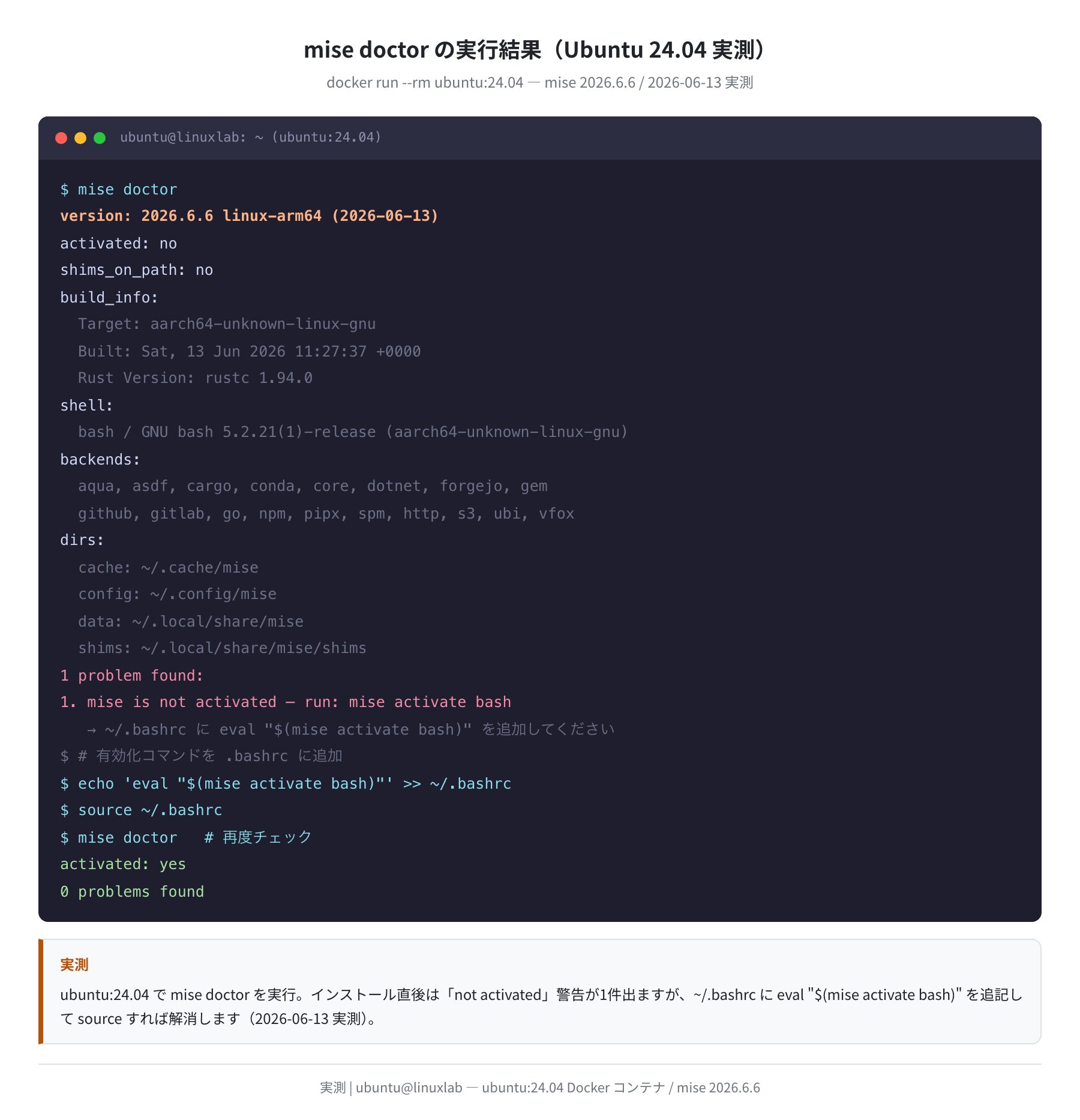 mise doctor の実行結果(Ubuntu 24.04 実測)