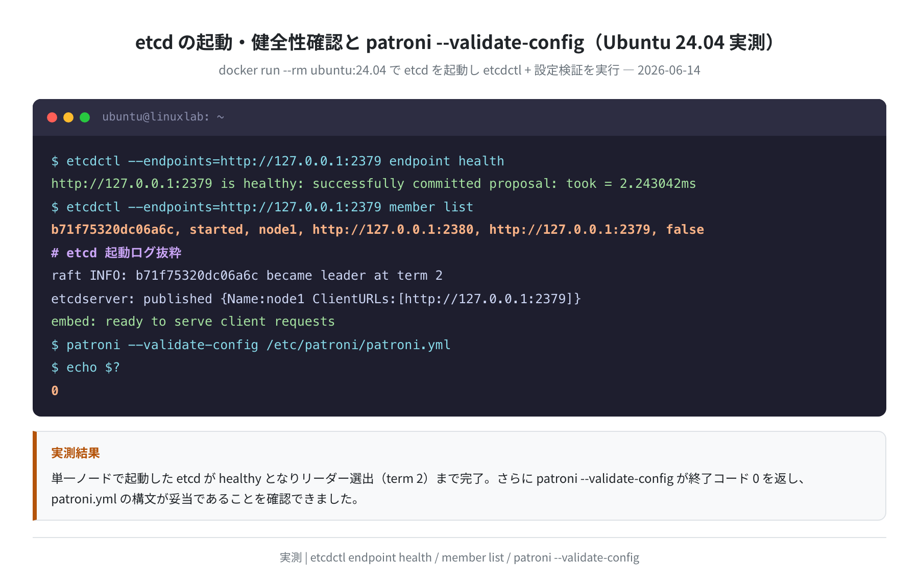 etcd の起動・健全性確認と patroni --validate-config（Ubuntu 24.04 実測）