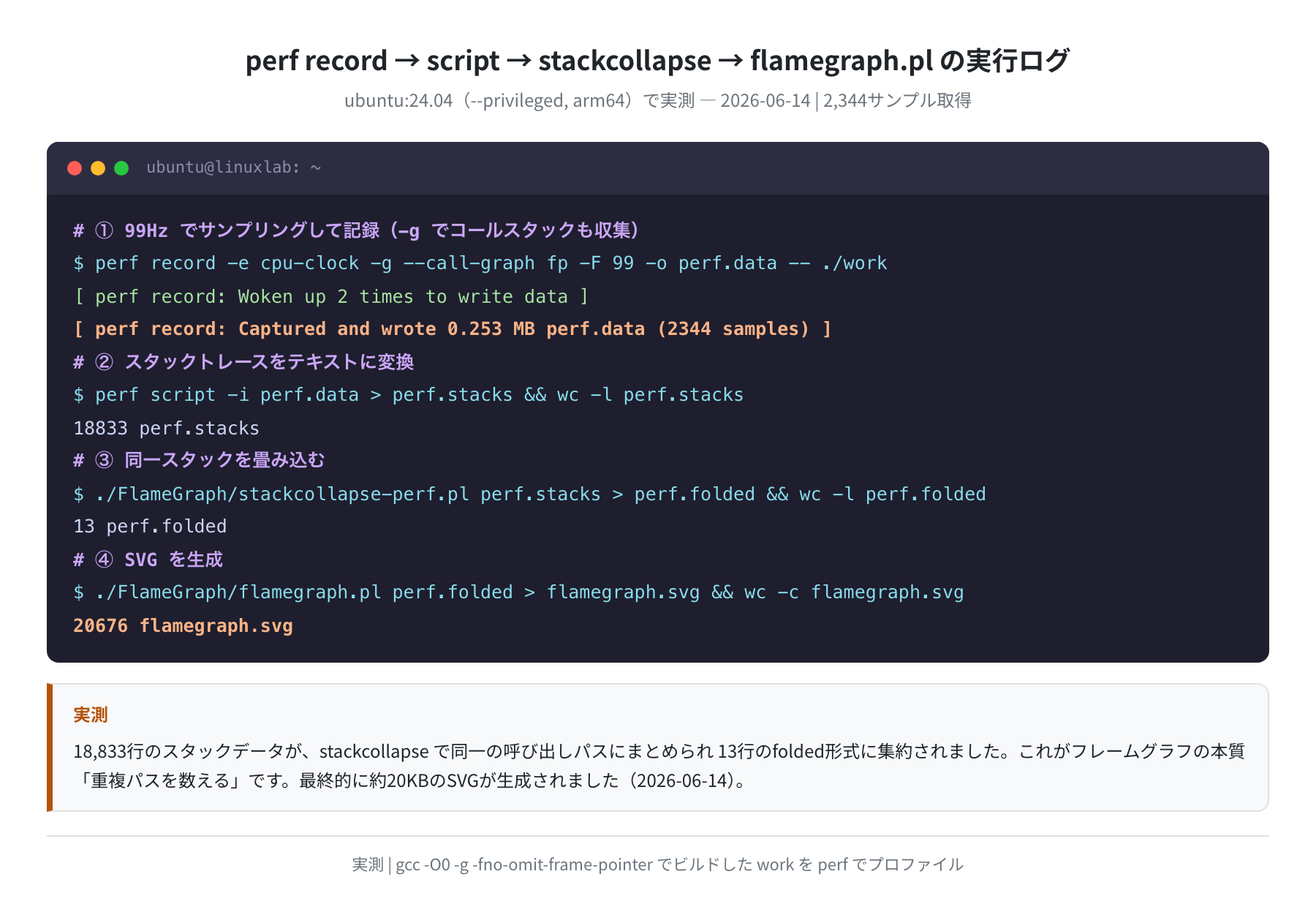 perf record → script → stackcollapse → flamegraph.pl 実行ログ（2,344サンプル）実測