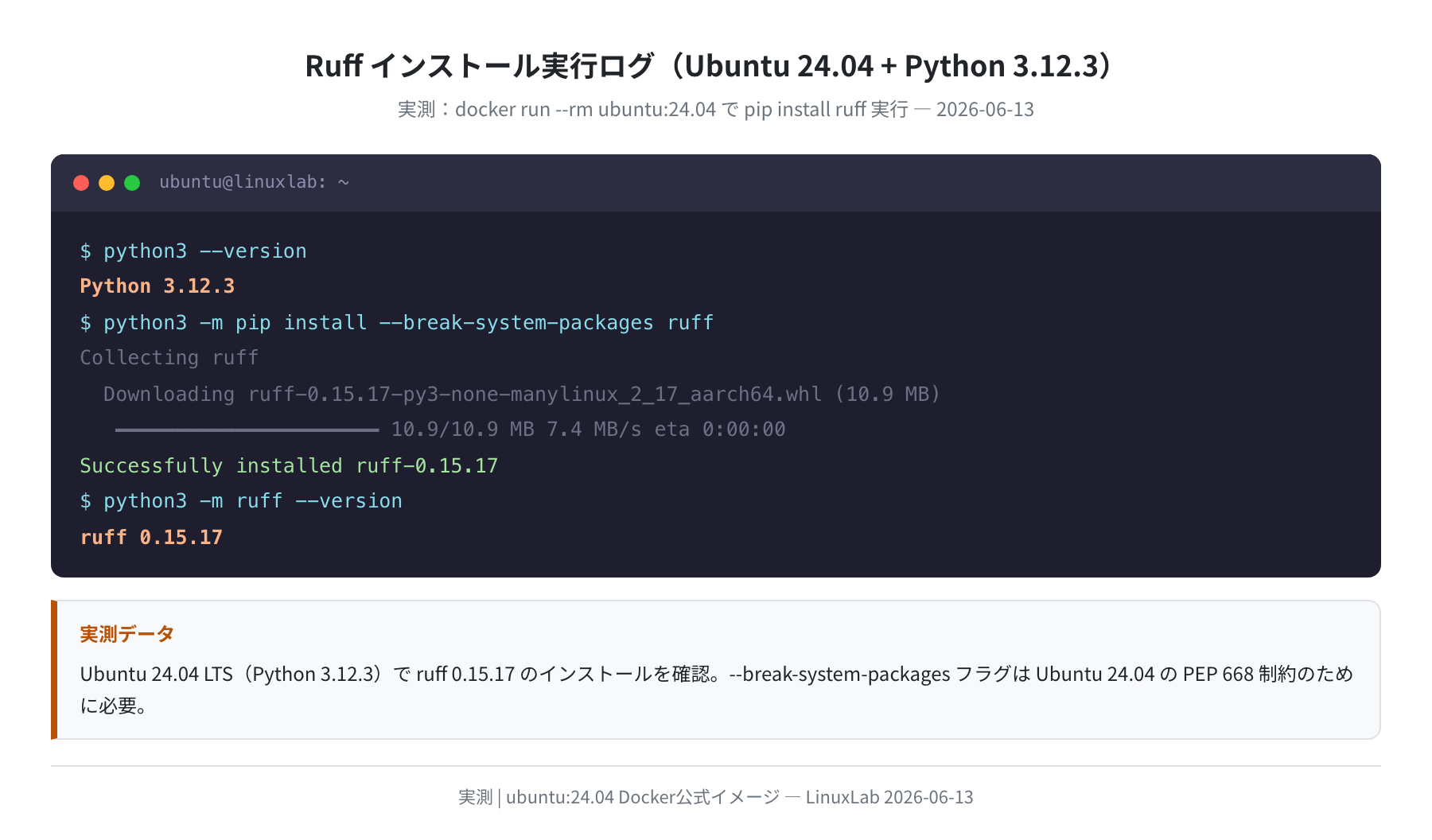 Ruff インストール実行ログ（Ubuntu 24.04 Docker実測）