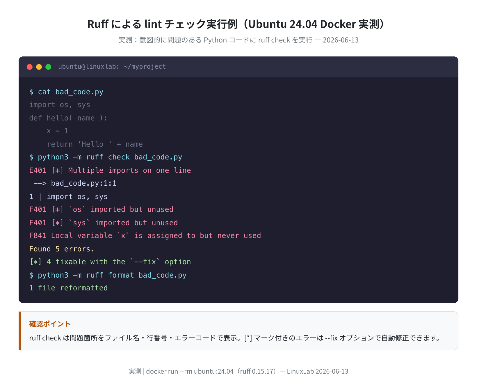 Ruff lint チェック実行例（Ubuntu 24.04 Docker実測）