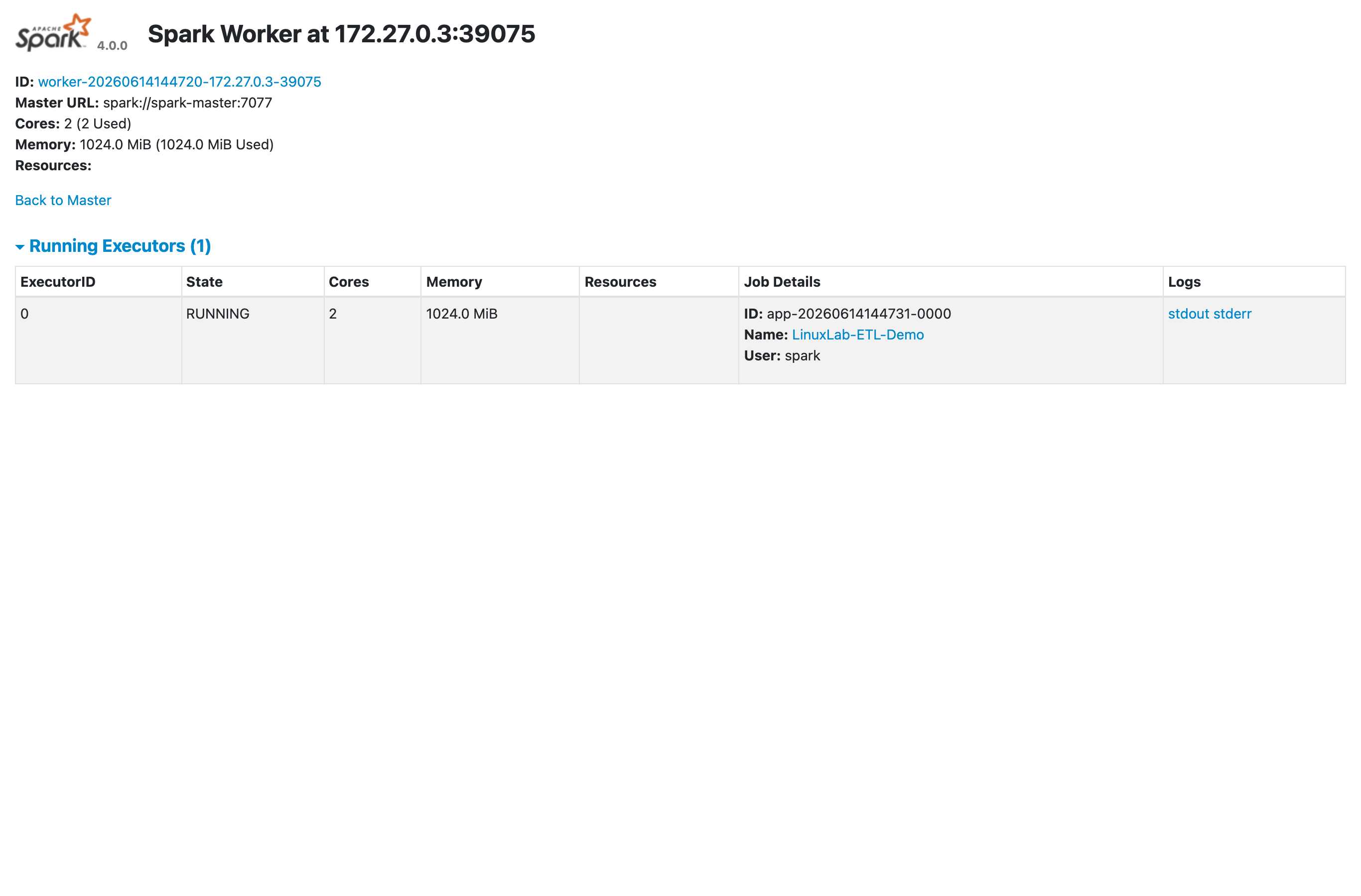 Spark Worker Web UI(実起動・Running Executors)