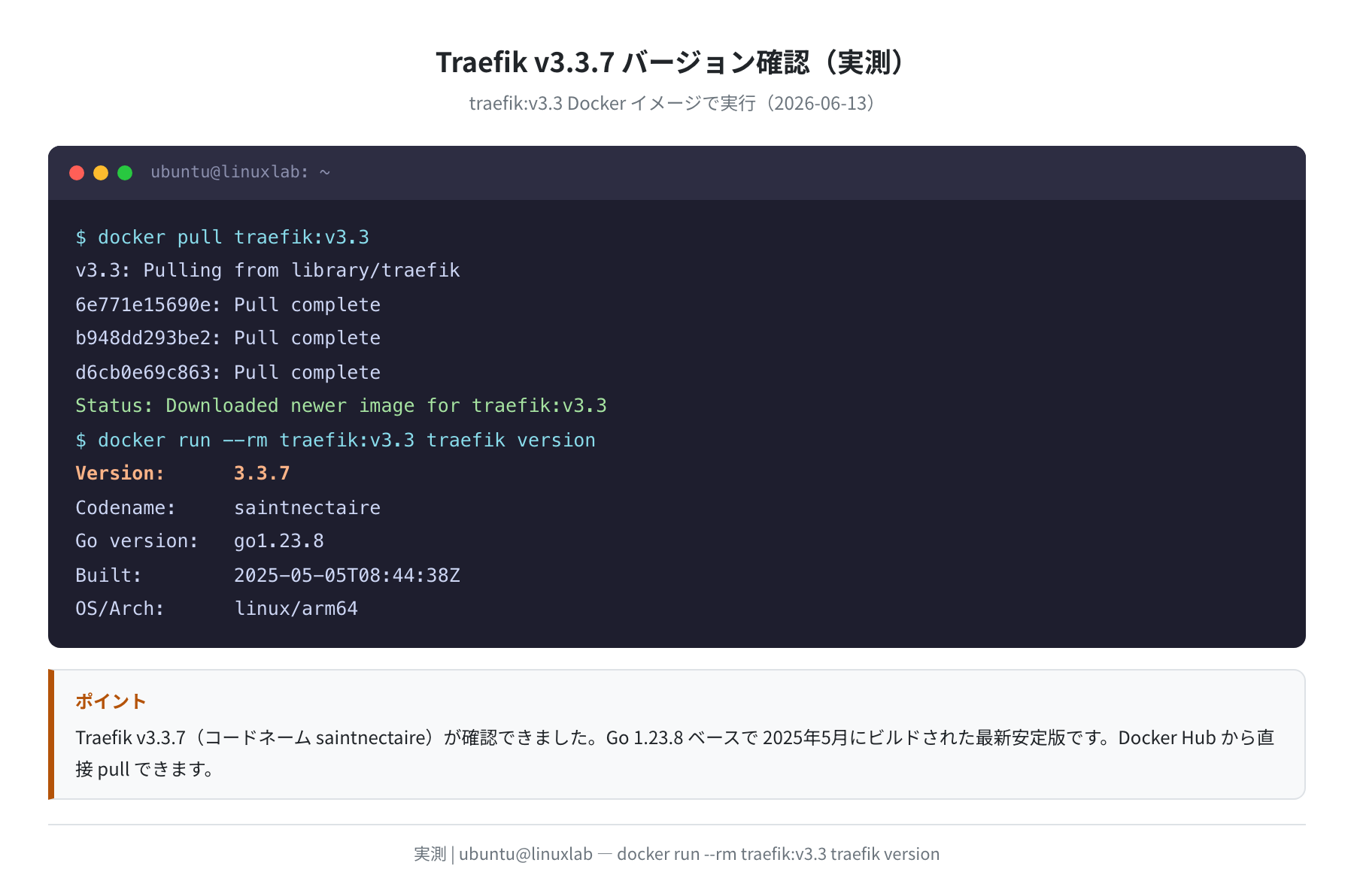Traefik v3.3.7 バージョン確認(実測)