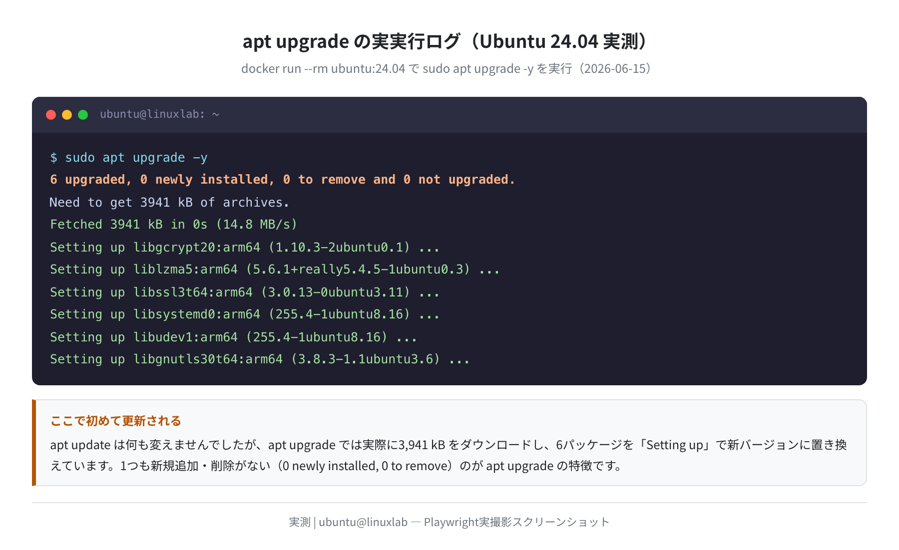 apt upgrade 実実行ログ（Ubuntu 24.04 実測）