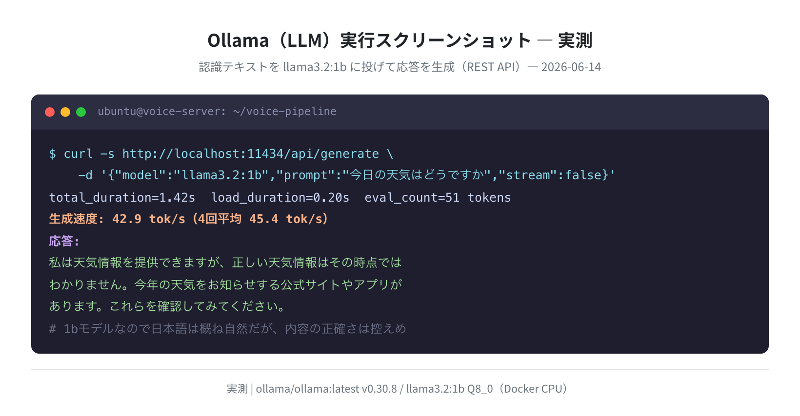 Ollama の実行スクリーンショット（実測）