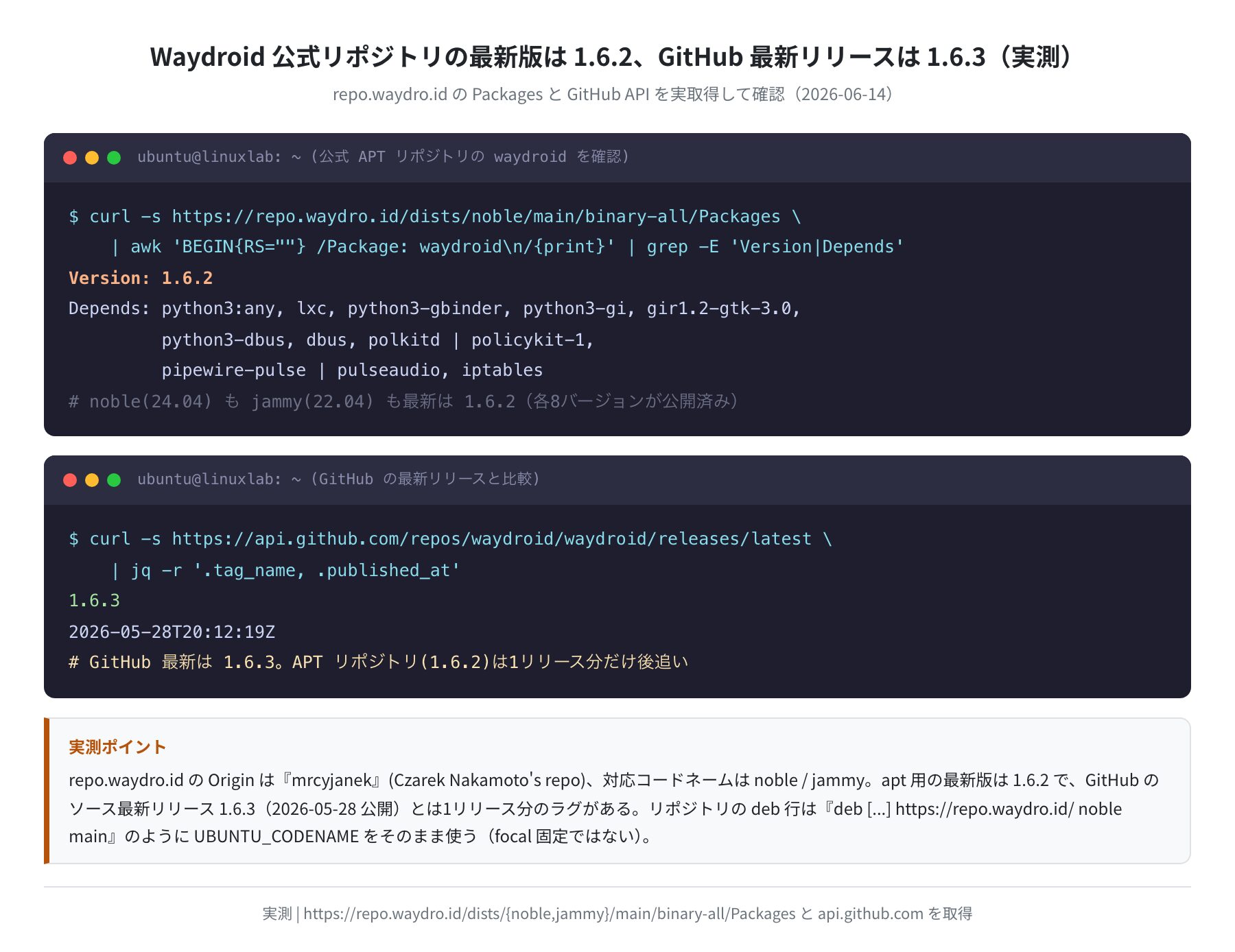 公式リポジトリ(1.6.2)とGitHub(1.6.3)の実測バージョン