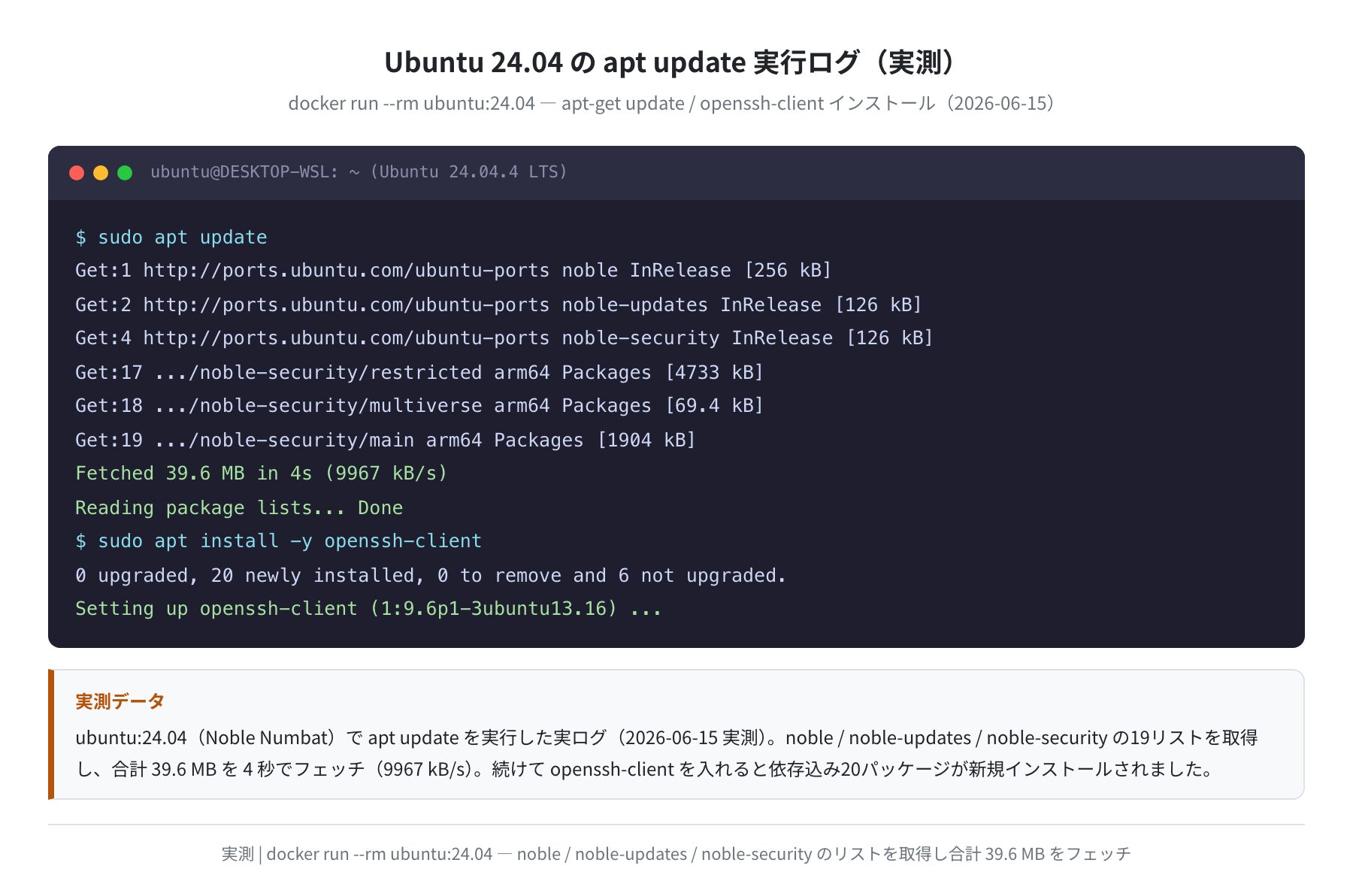 apt update の実行ログ（ubuntu:24.04 実測）