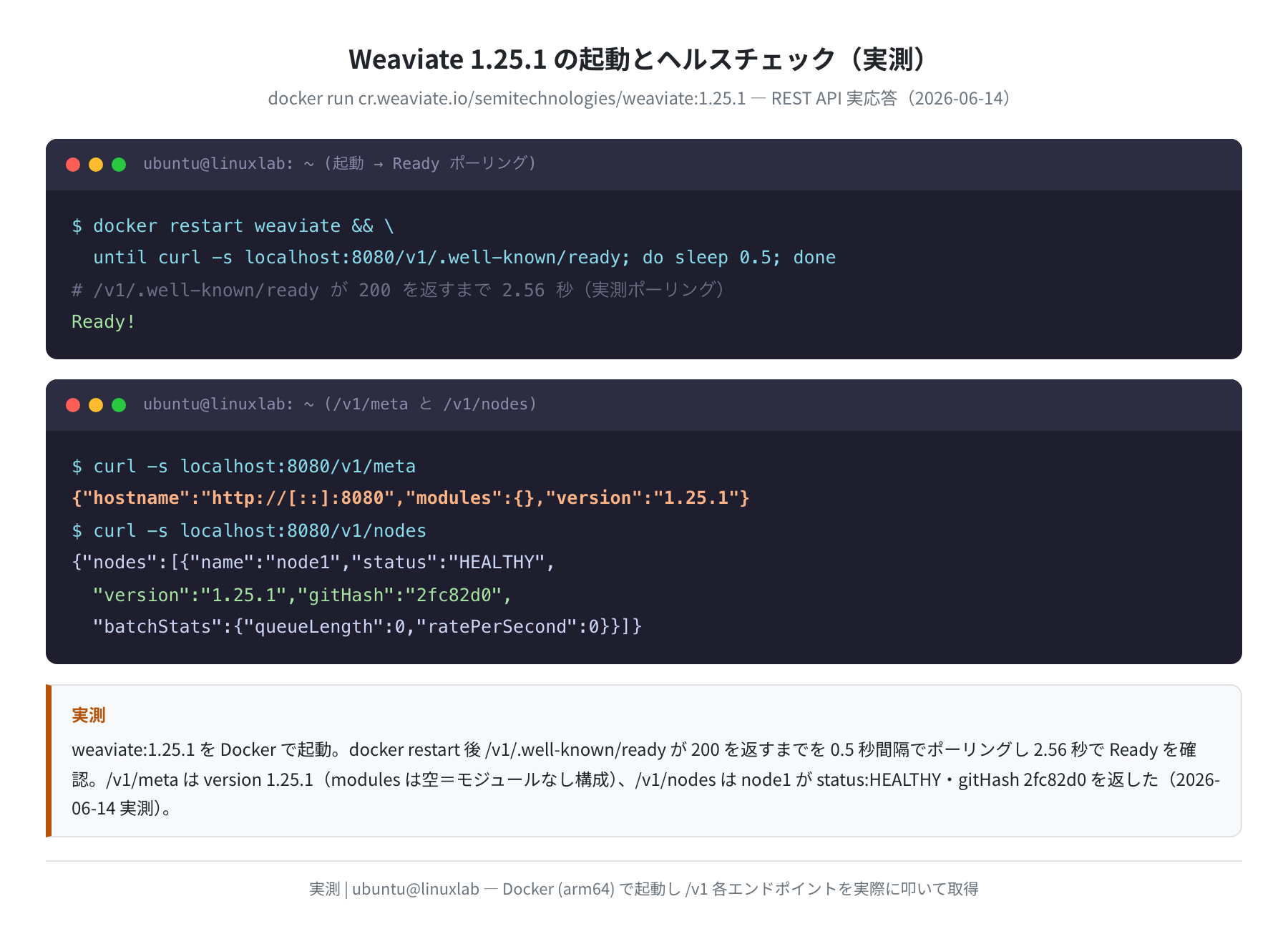 Weaviate 1.25.1 の起動とヘルスチェック実測(ready・/v1/meta・/v1/nodes)