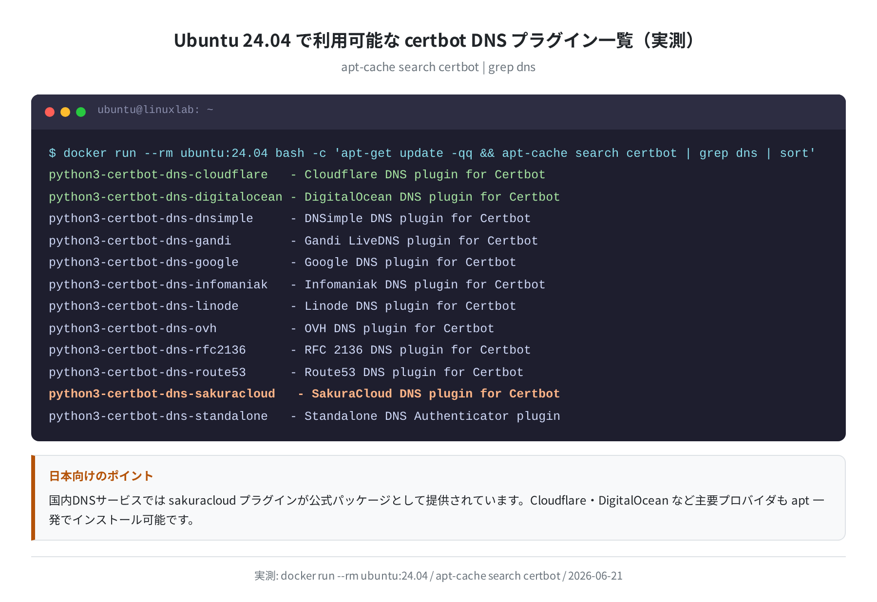 certbot DNS プラグイン一覧（実測）