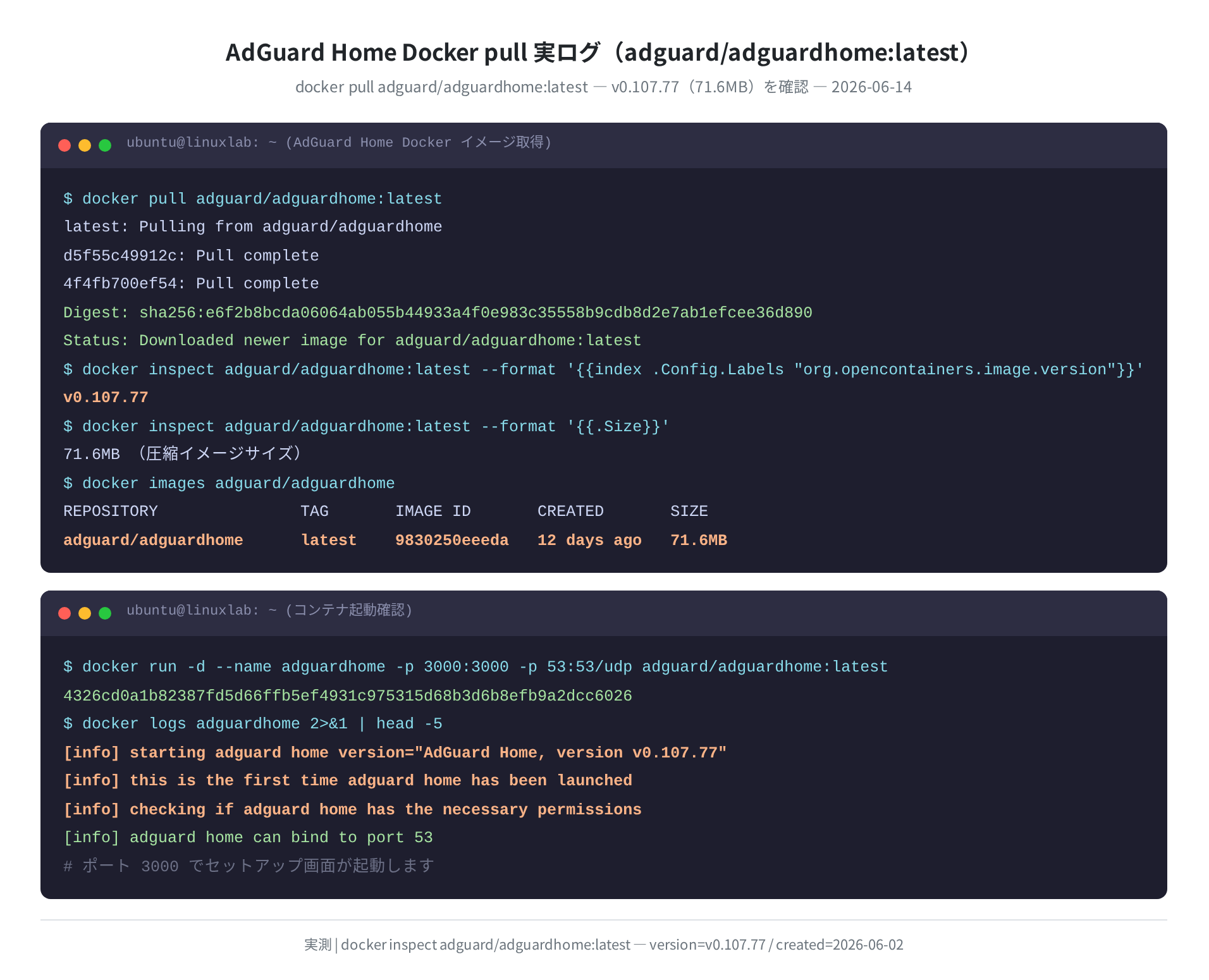 AdGuard Home Docker pull 実ログ（adguard/adguardhome:latest v0.107.77）