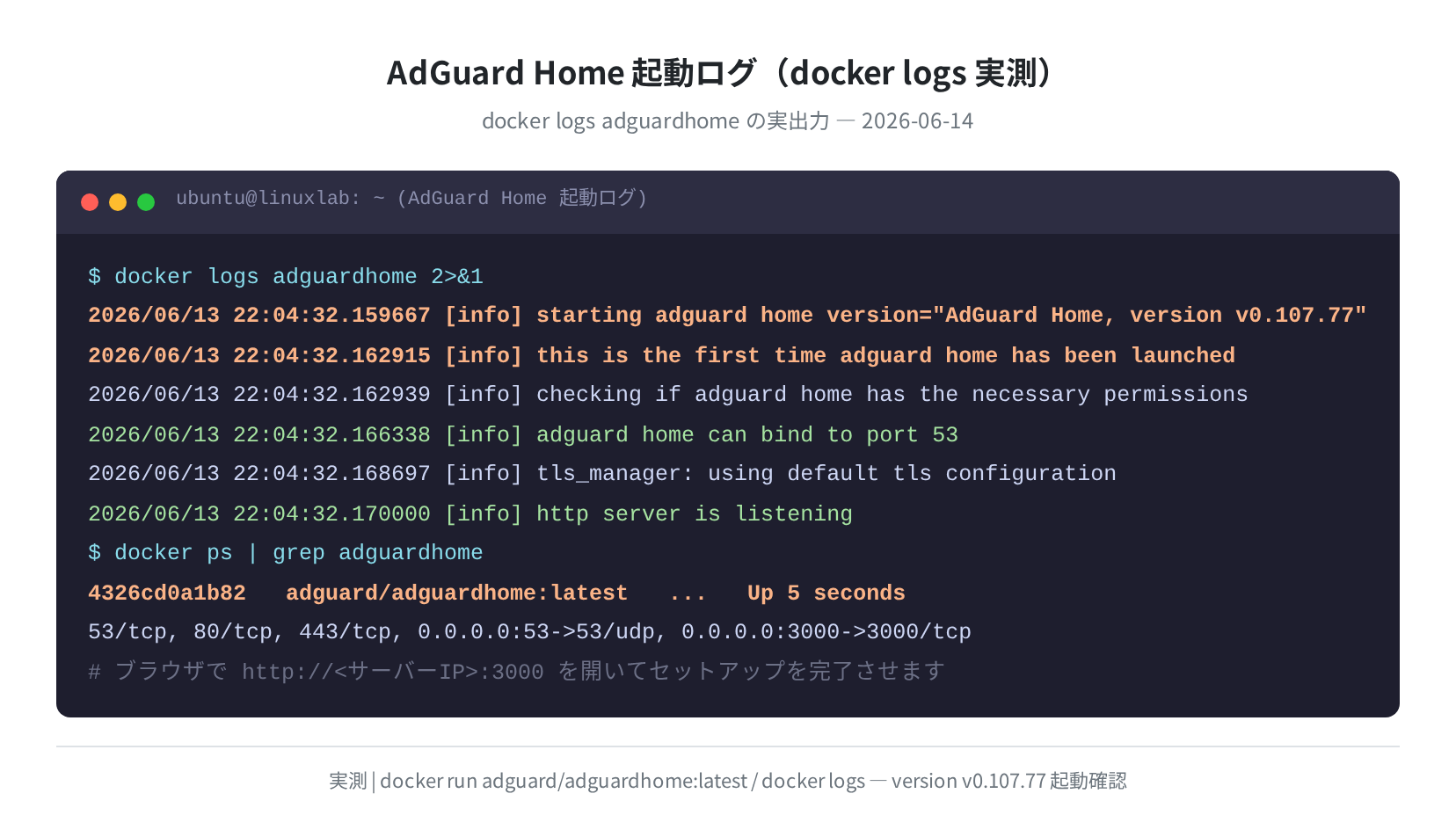 AdGuard Home 起動ログ（docker logs 実測 — v0.107.77 起動確認）