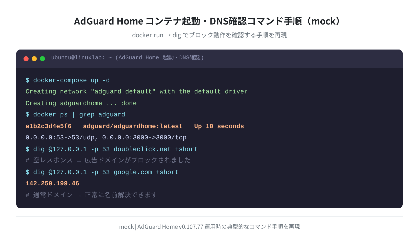 AdGuard Home DNS 確認コマンド手順（mock）