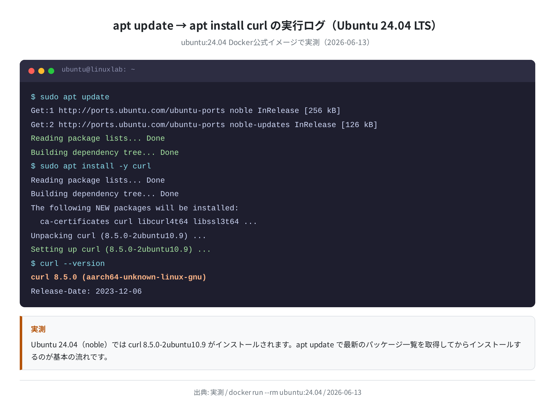 apt install curl の実行ログ（Ubuntu 24.04 LTS）実測