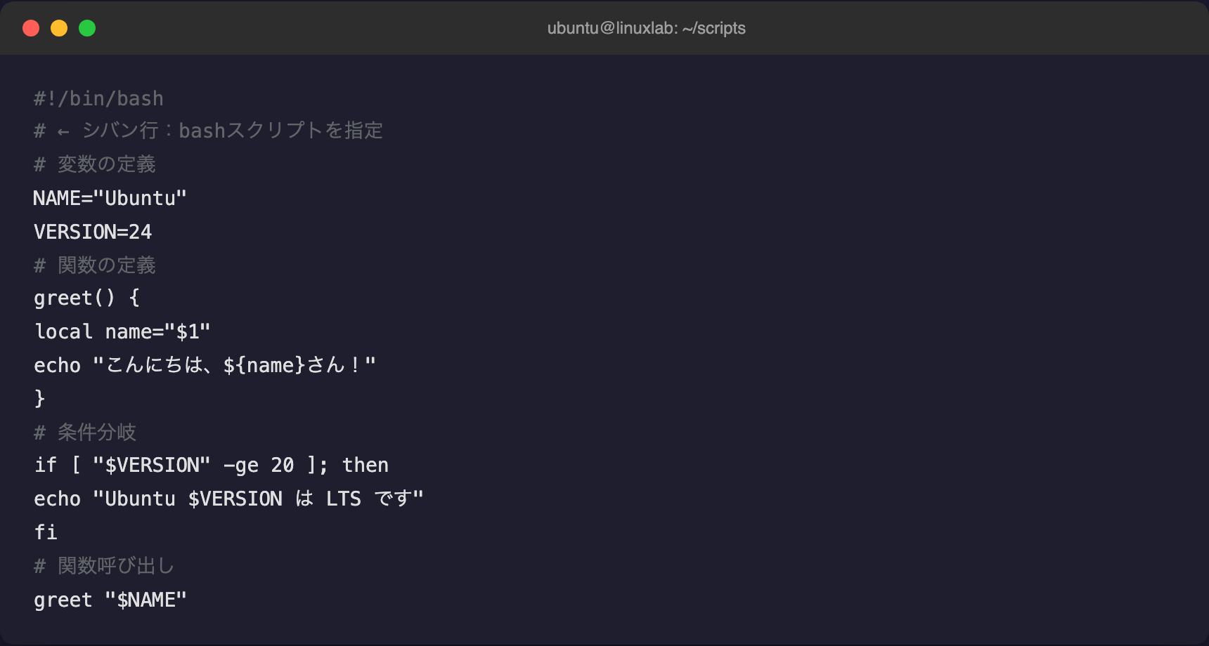 bashスクリプトの構造(変数・関数・条件分岐を含む例)