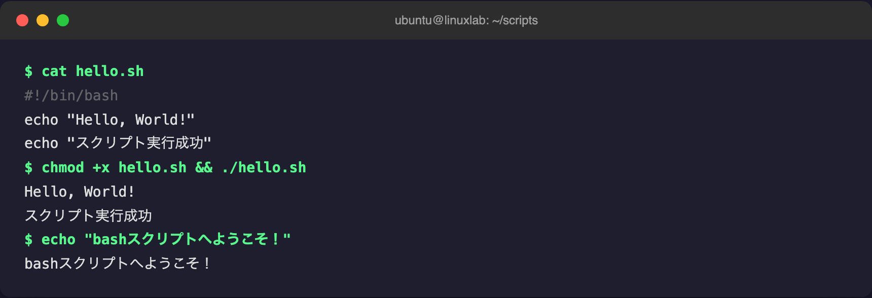 Ubuntu ターミナルでbashスクリプトを実行している様子
