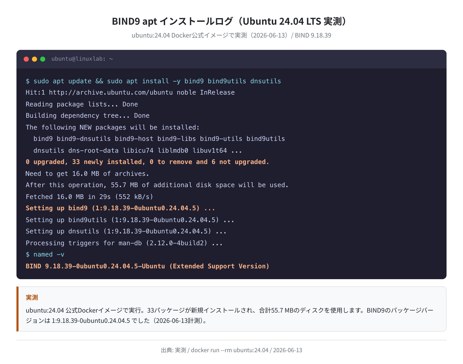 BIND9 aptインストール実ログ(ubuntu:24.04 実測)