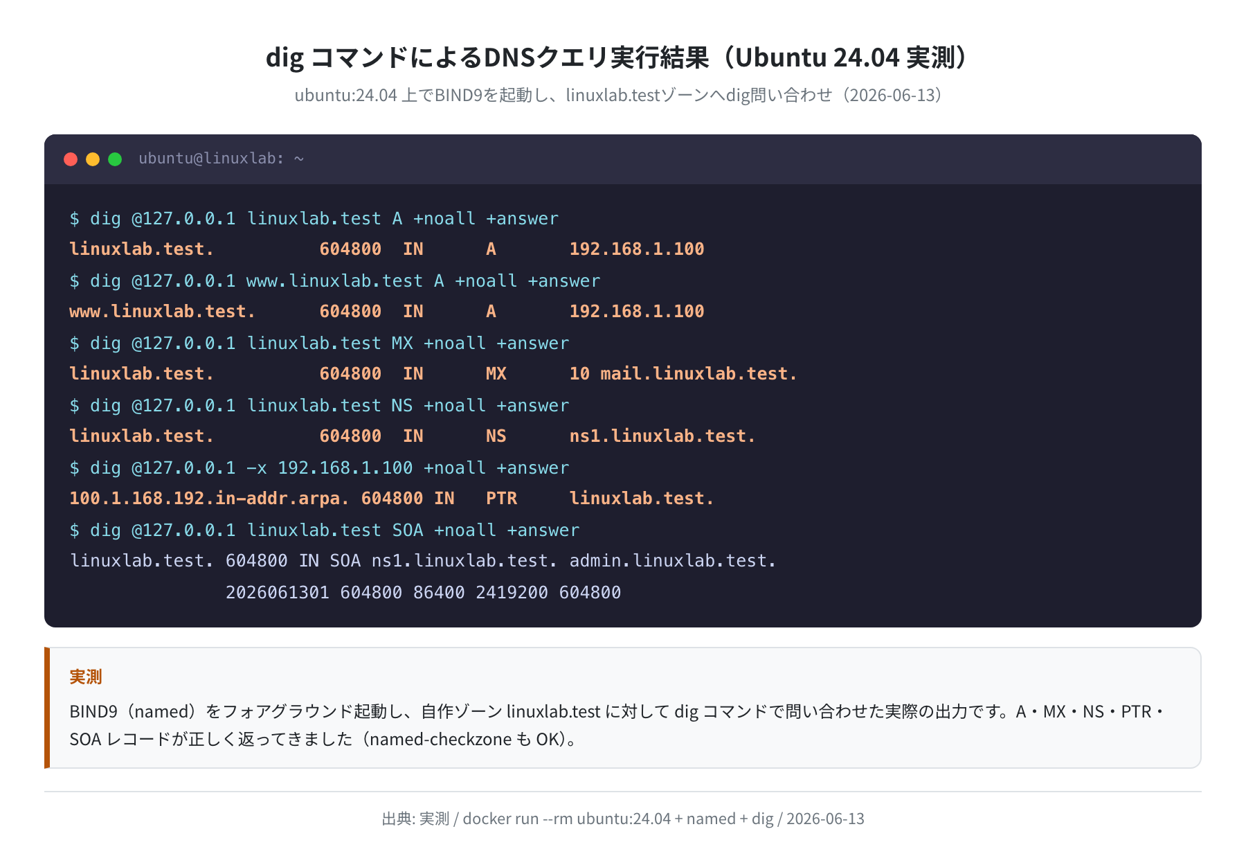 dig コマンドによるDNSクエリ実行結果(ubuntu:24.04 実測)