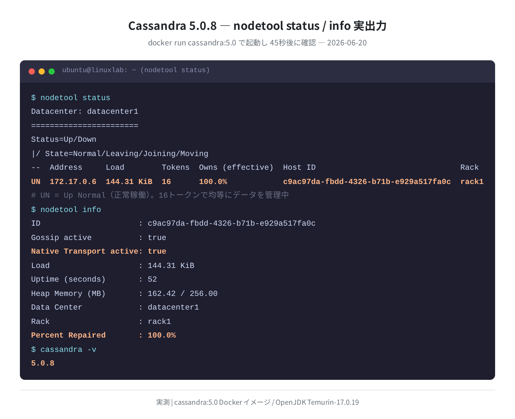 nodetool status と nodetool info の実出力(Cassandra 5.0.8)