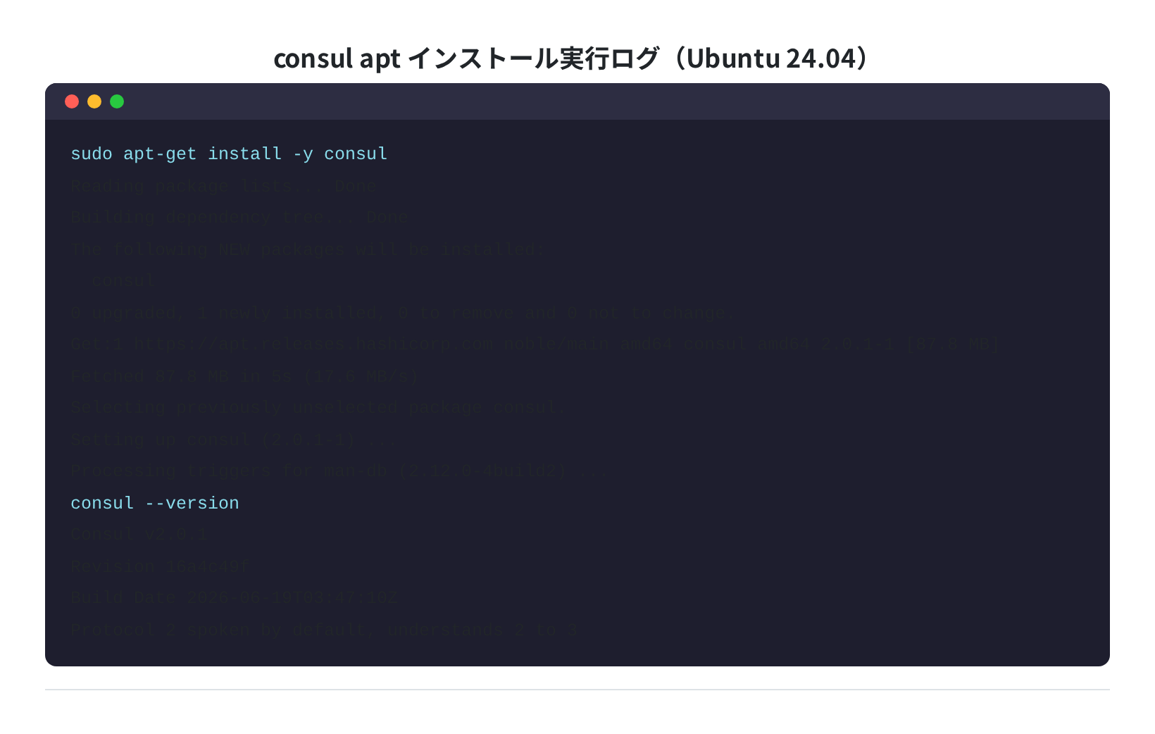 consul apt インストール実行ログ（実測：ubuntu:24.04 + HashiCorp APTリポジトリ）