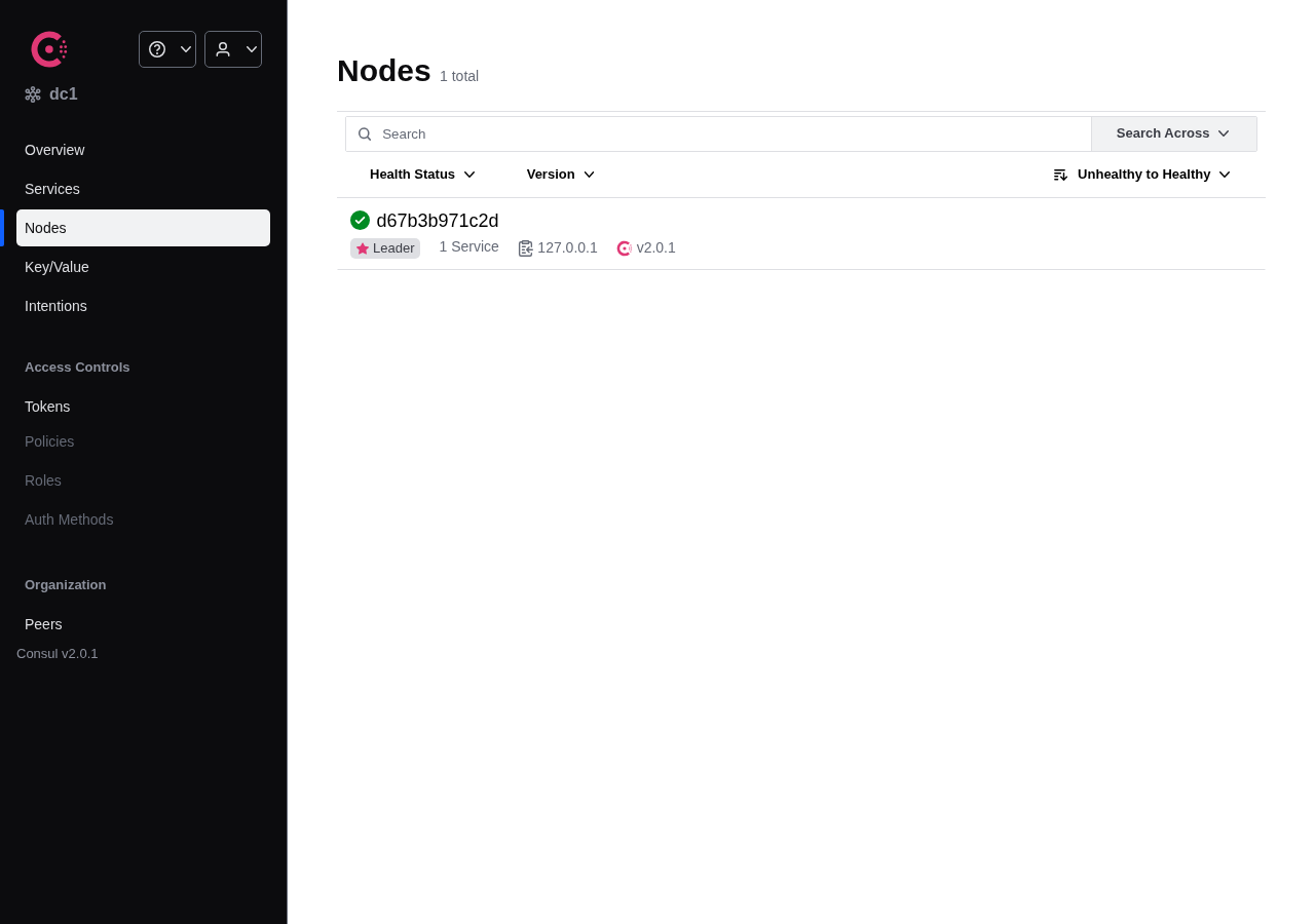 Consul Nodes ページ（実撮影：Leader ノード・v2.0.1 表示）