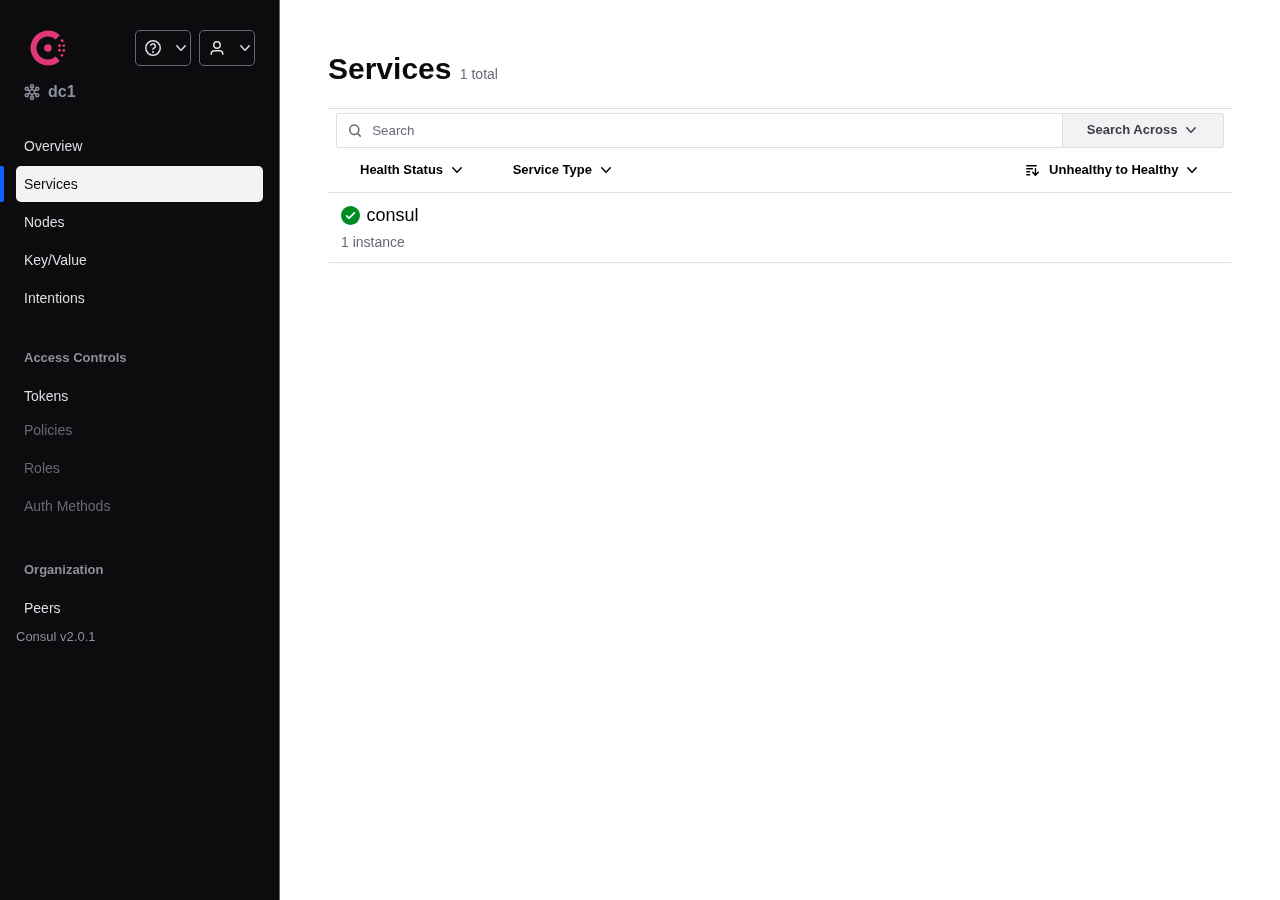 Consul Services ページ（実撮影：healthy なサービスが緑チェックで表示）