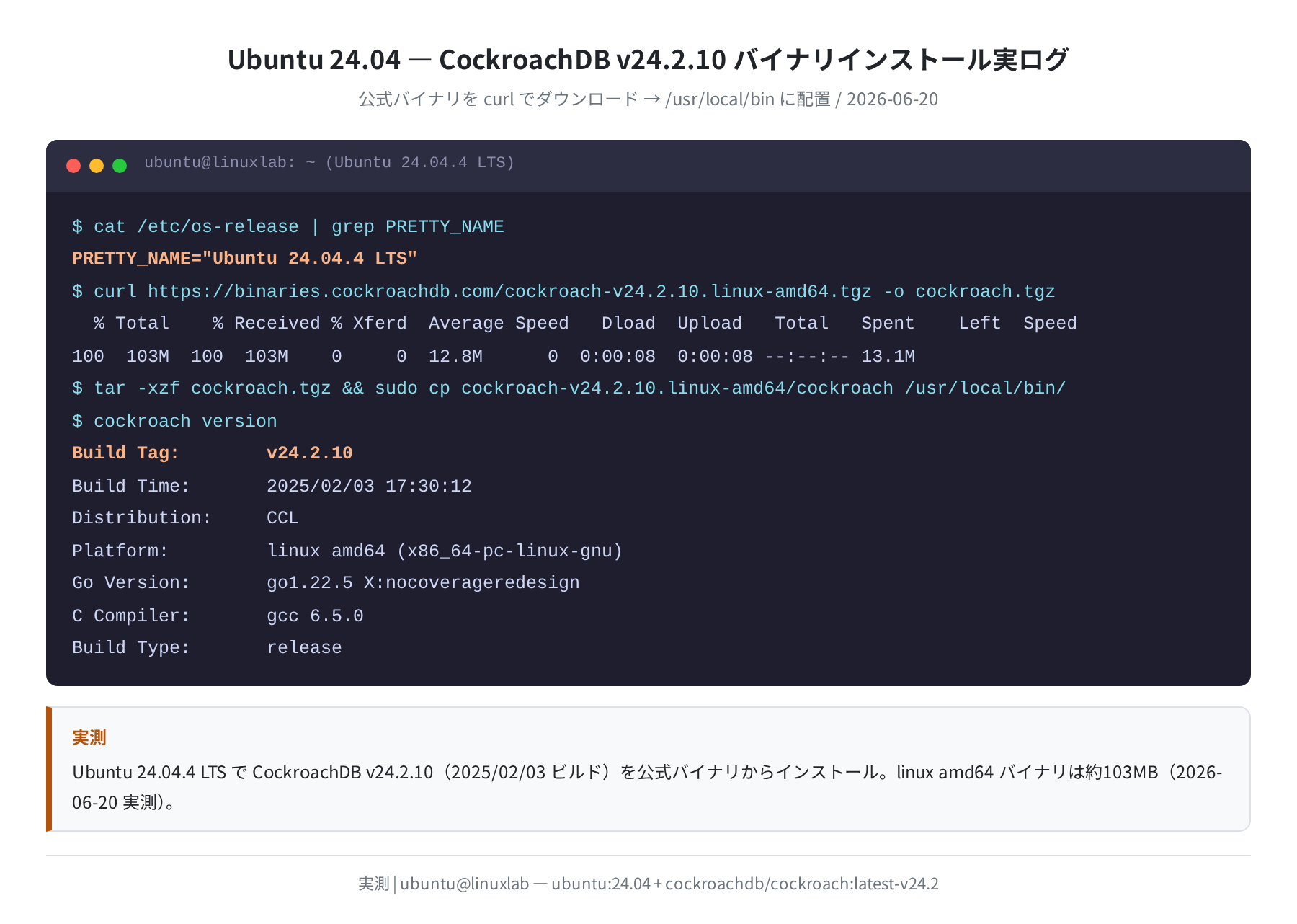 Ubuntu 24.04 CockroachDB v24.2.10 バイナリインストール実ログ（実測）