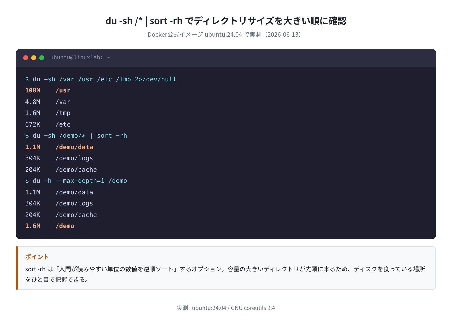 du + sort の実行結果(Ubuntu 24.04 LTS・実測)