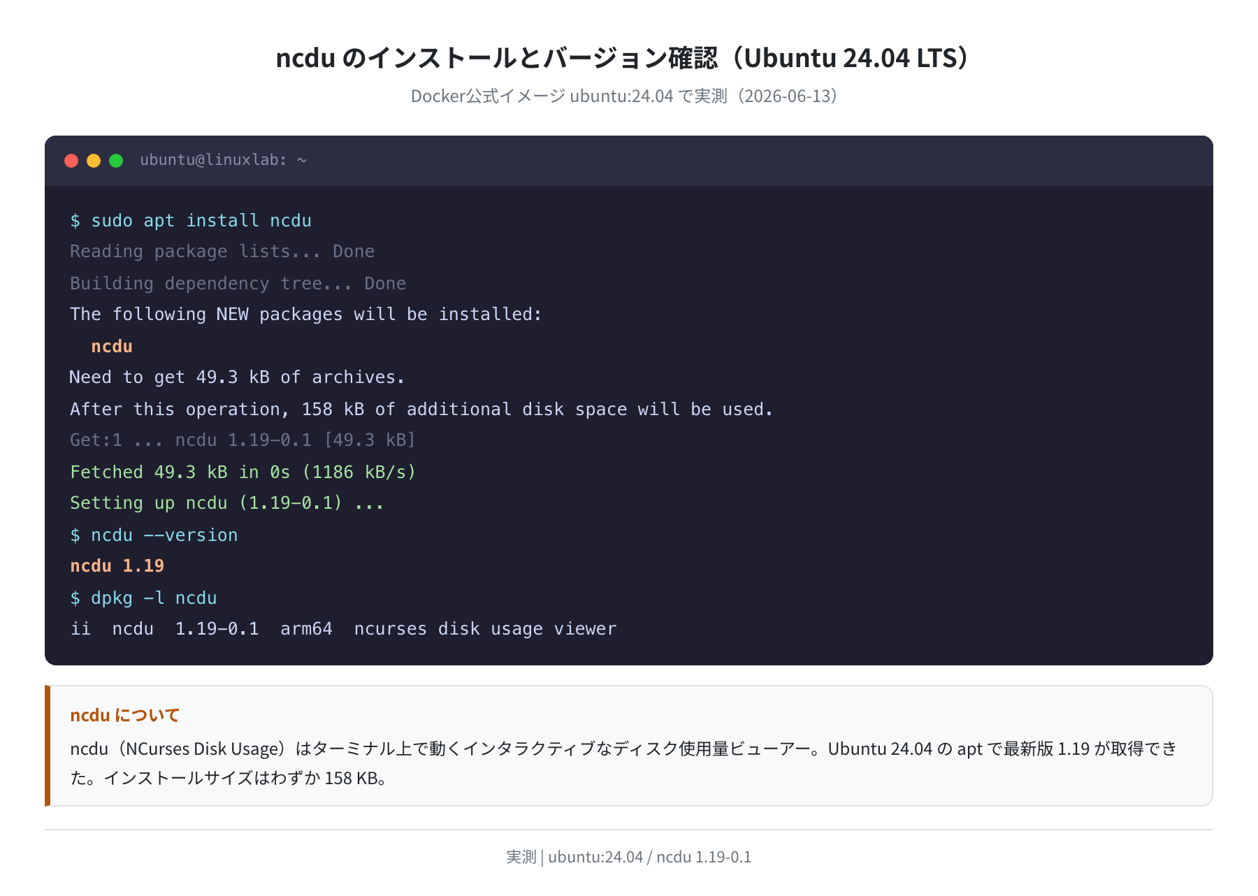 ncdu インストールと実行(Ubuntu 24.04 LTS・実測)