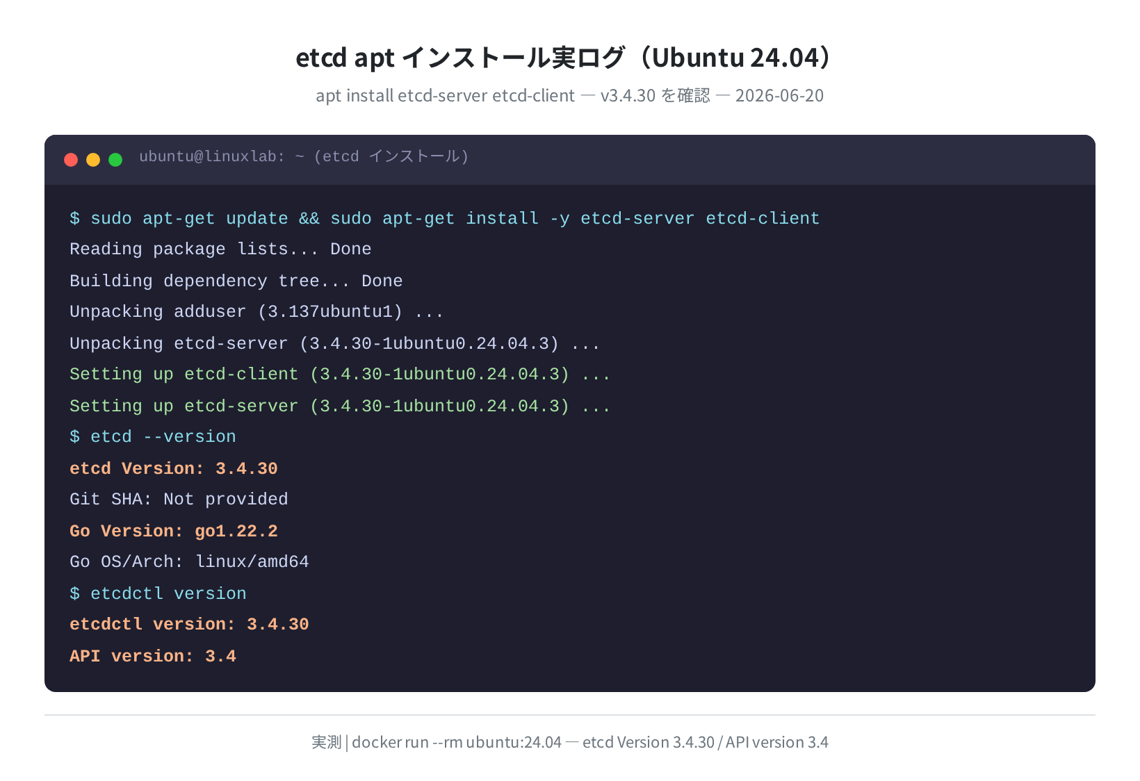 apt install etcd-server の実行ログ（Ubuntu 24.04）