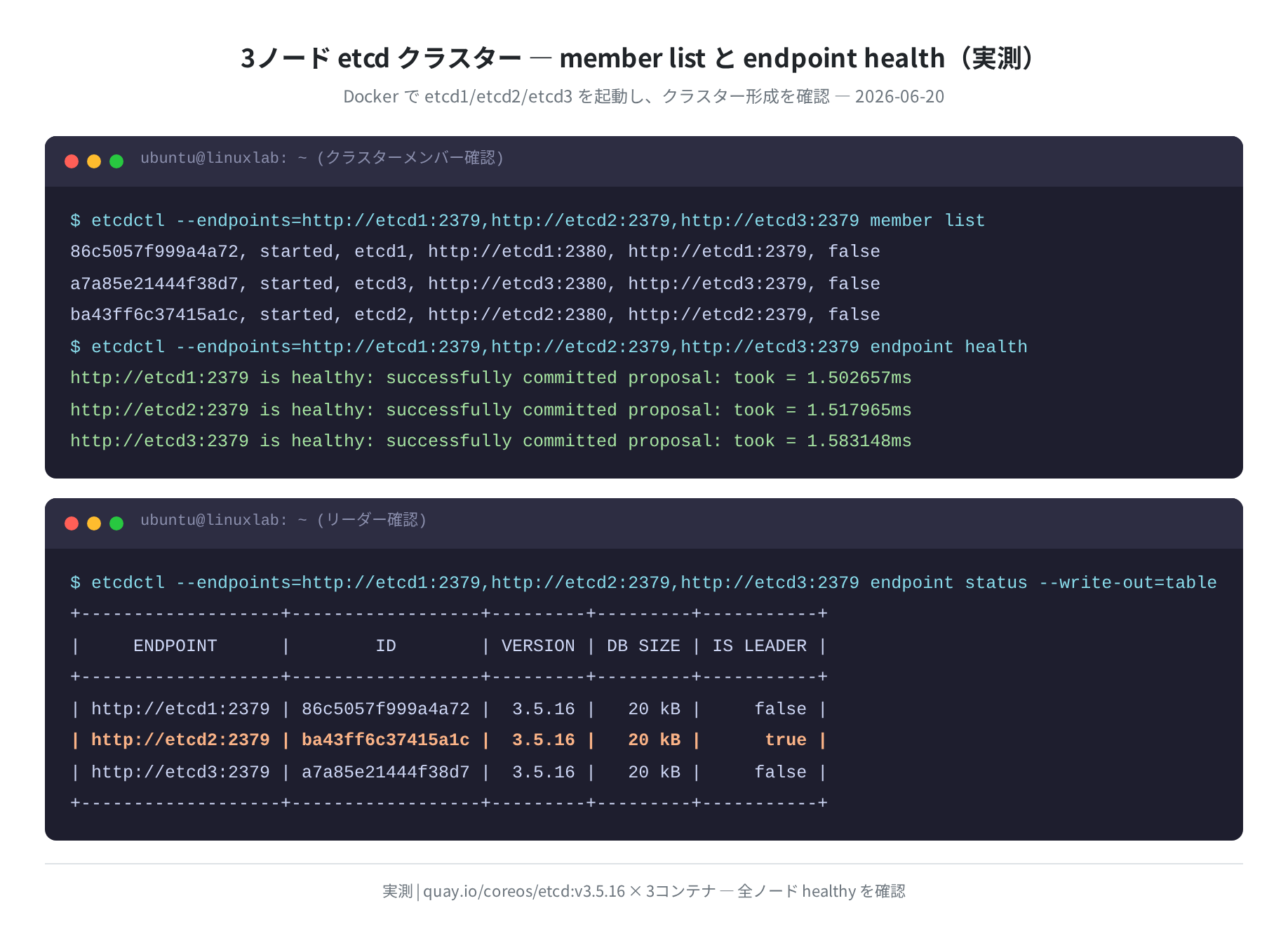 3ノードクラスター member list / endpoint health（実測）