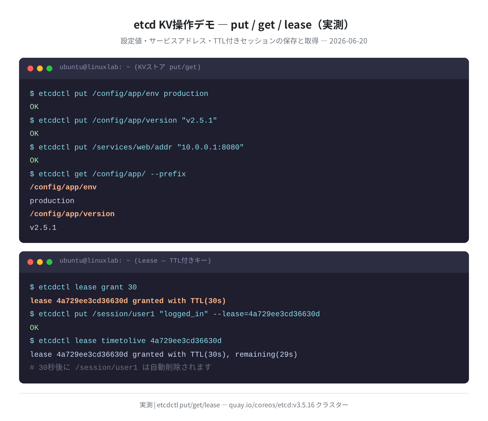 etcdctl put/get/lease 操作デモ（実測）