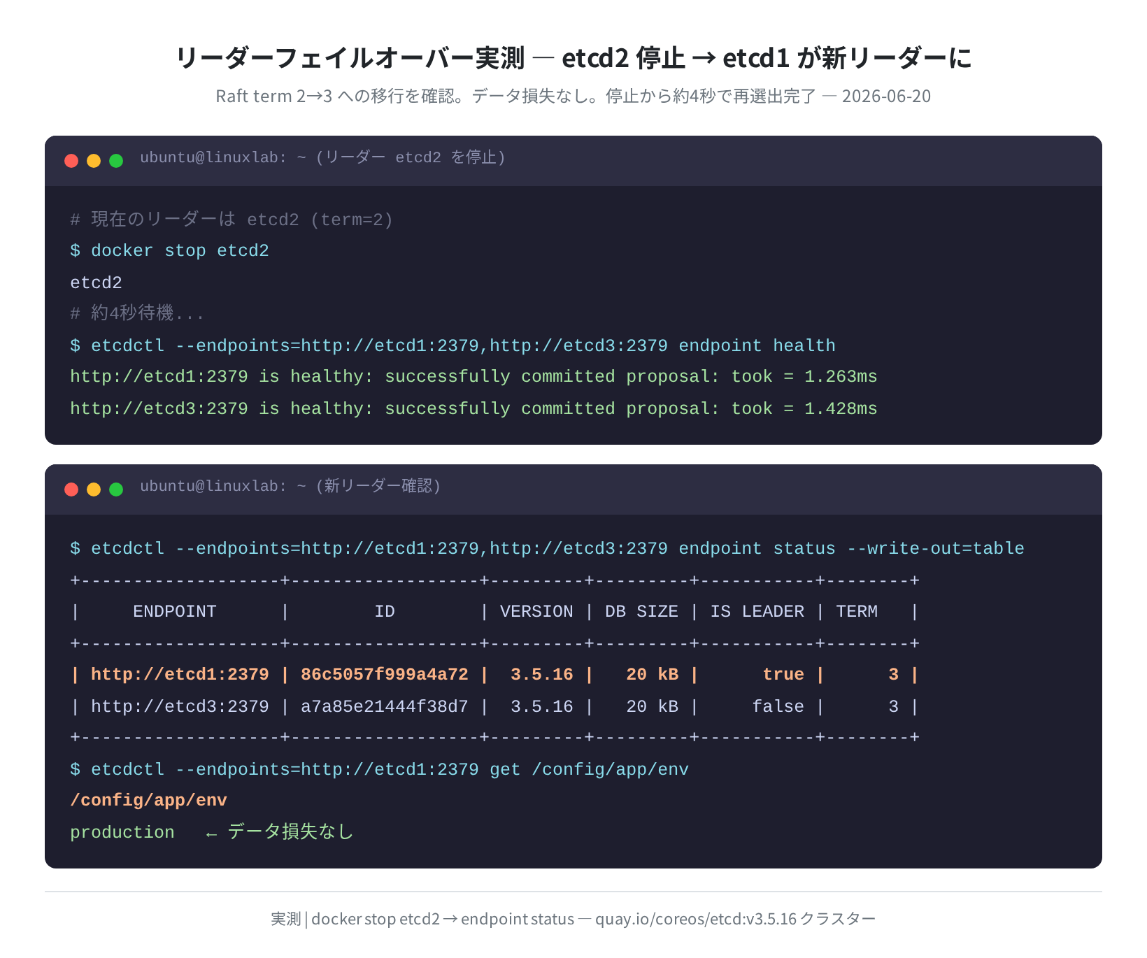 リーダー停止→再選出の実測ログ（Raft term 2→3）