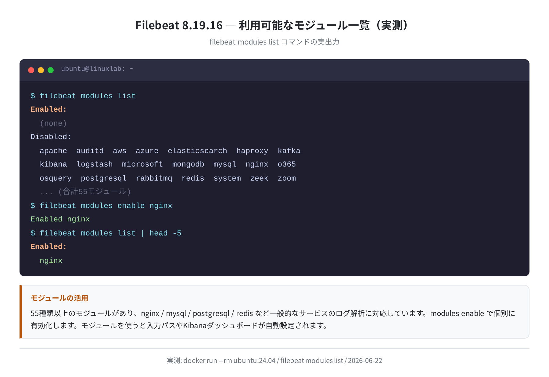 Filebeat 8.19.16 利用可能モジュール一覧(実測)
