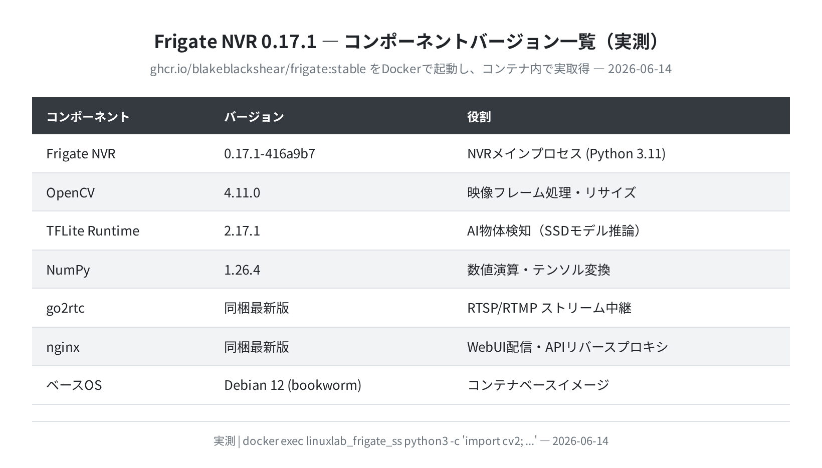 Frigate 0.17.1 コンポーネントバージョン一覧（実測: docker exec で取得）