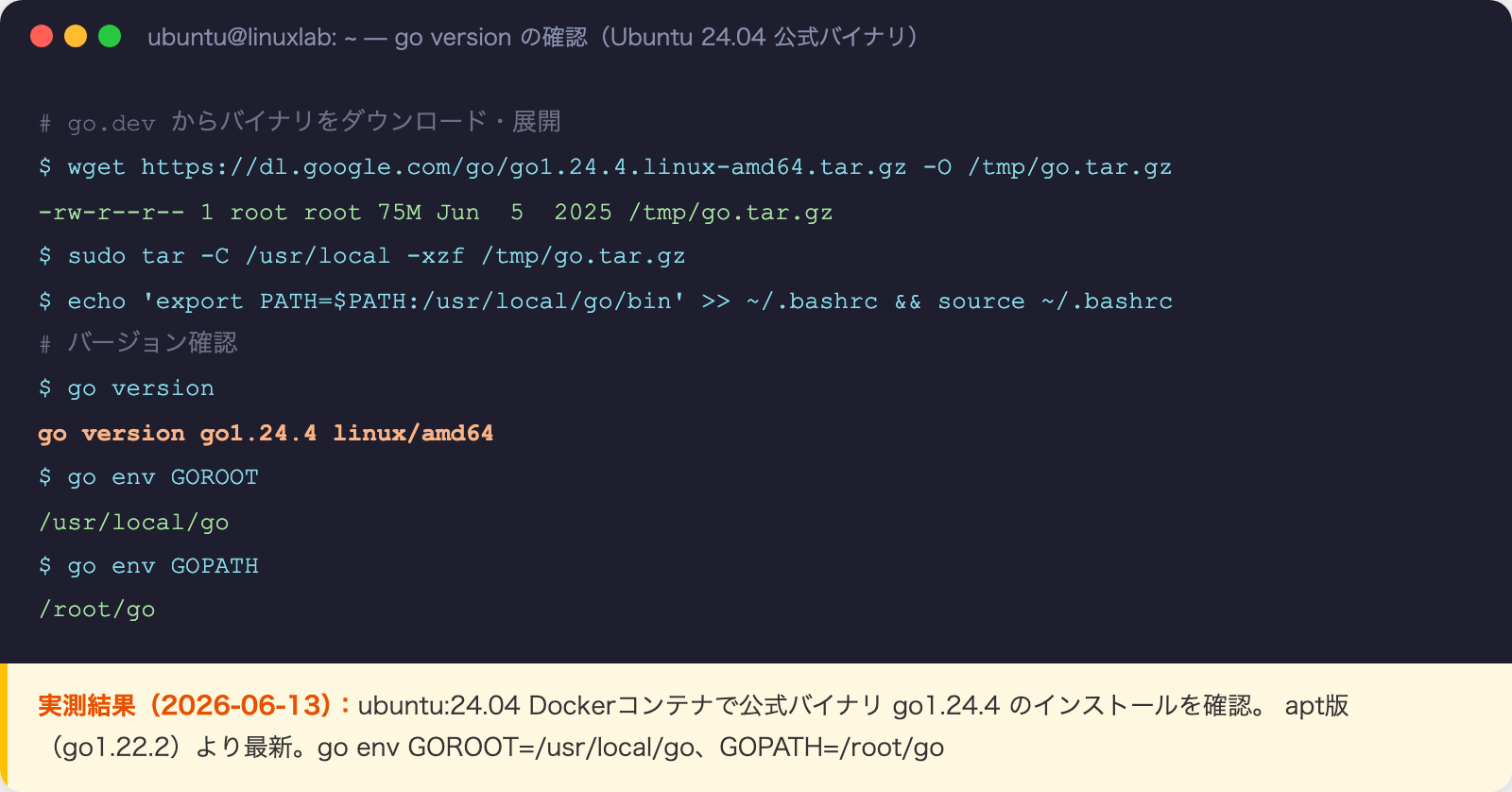 go version と go env 実行結果のターミナル出力(実測スクリーンショット)