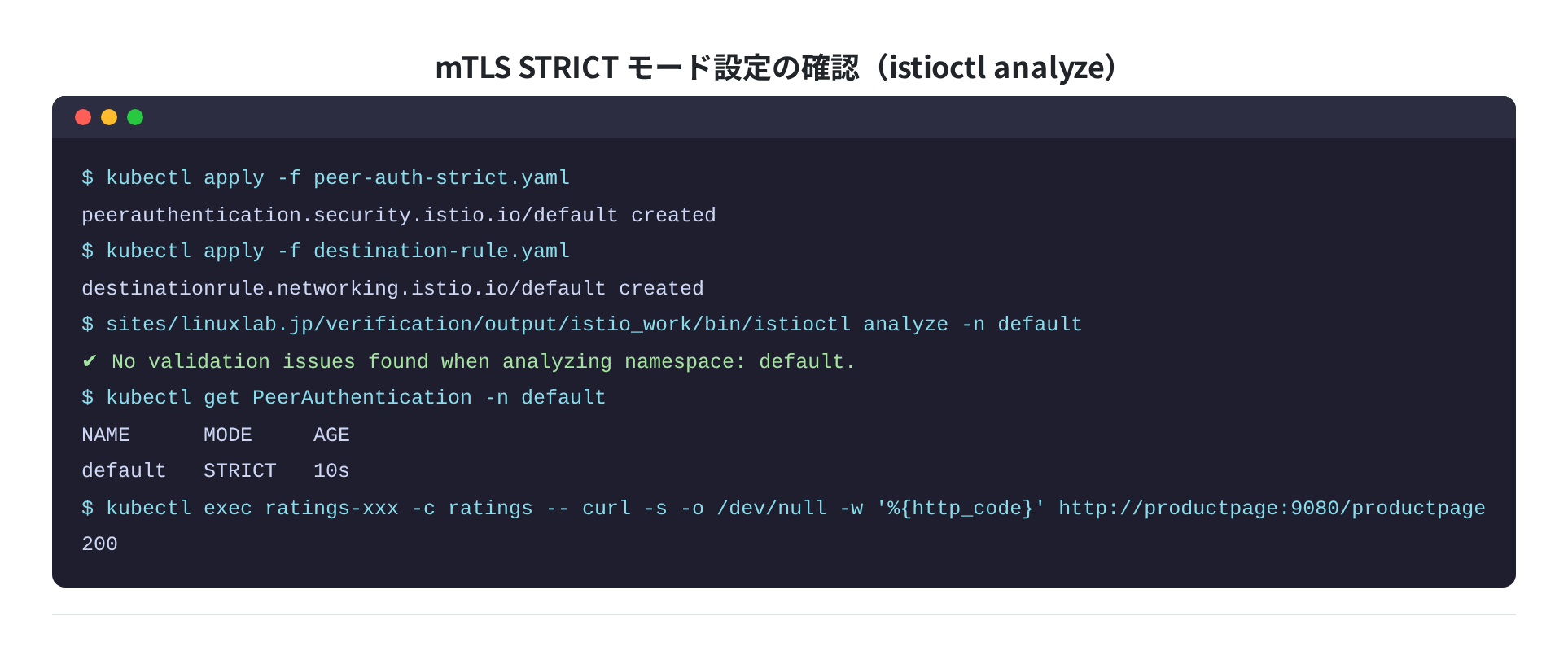 mTLS STRICT モード設定の確認(istioctl analyze)実測