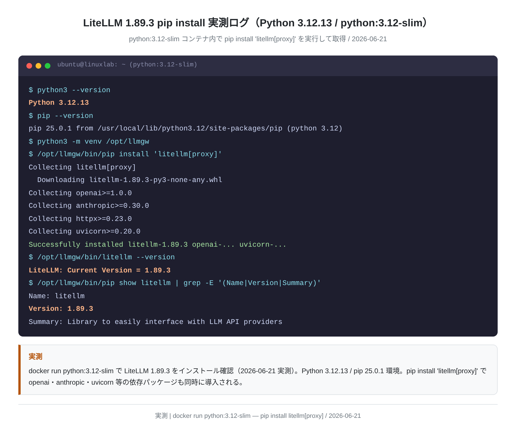 LiteLLM pip install 実測ログ
